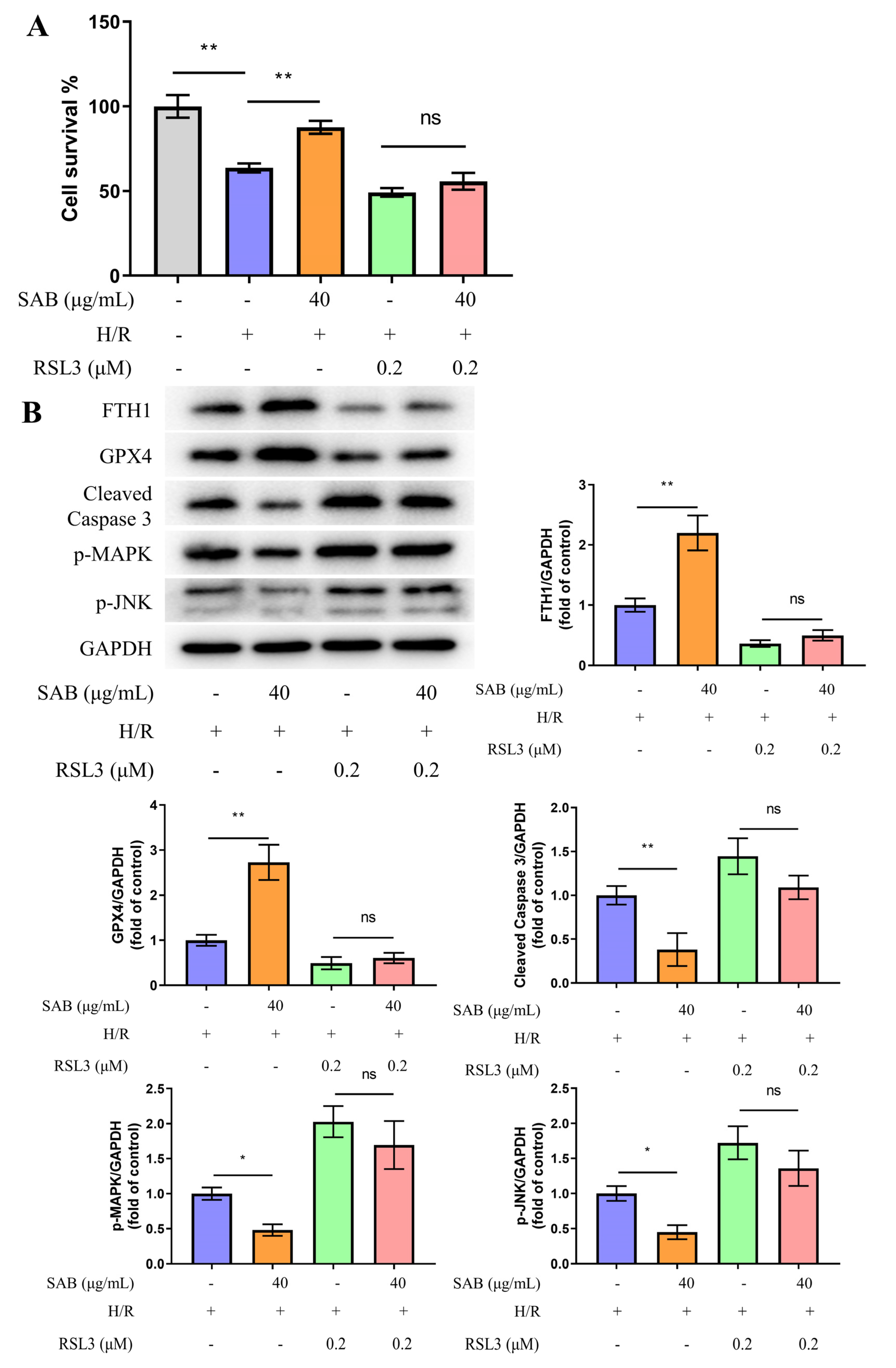 Molecules 28 04117 g008