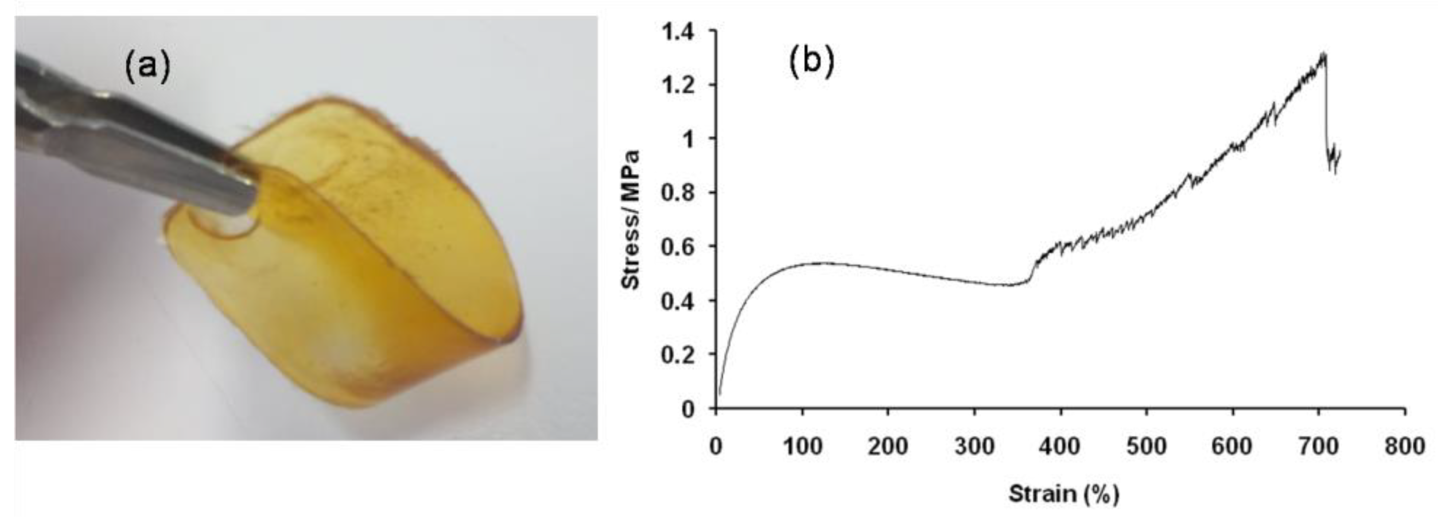 Molecules 28 04124 g005