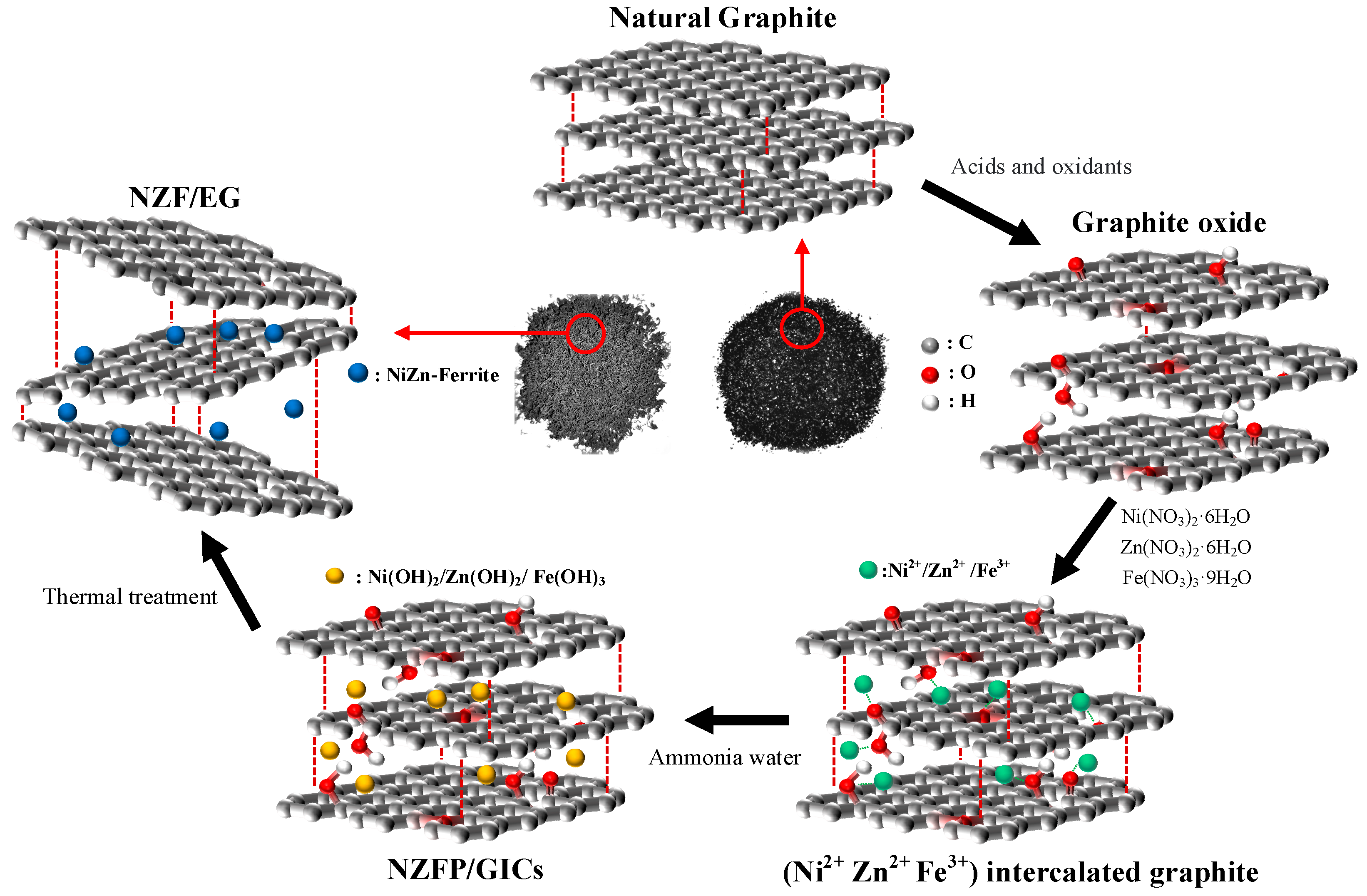 Molecules 28 04128 g001