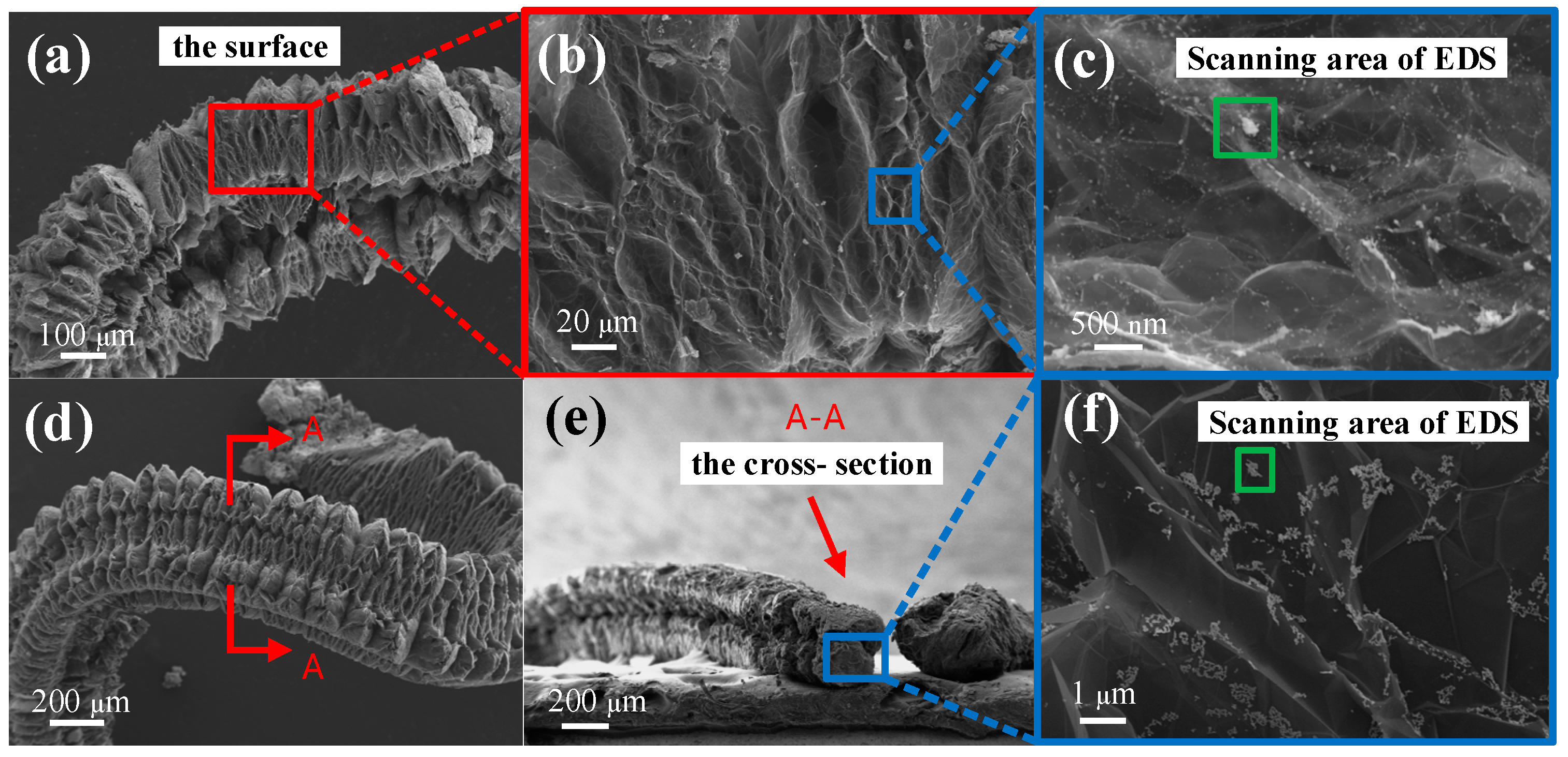 Molecules 28 04128 g006a