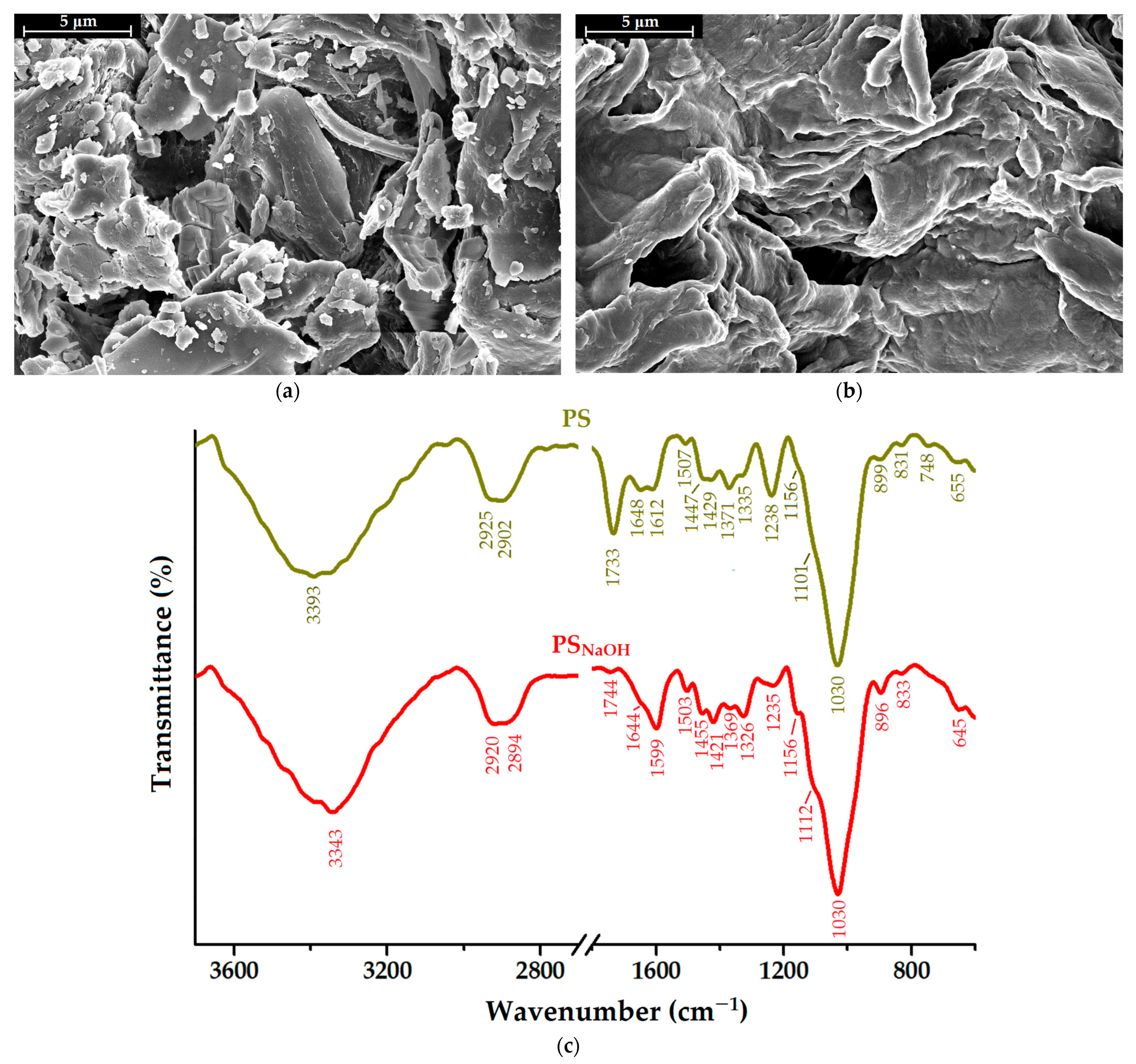 Molecules 28 04129 g001