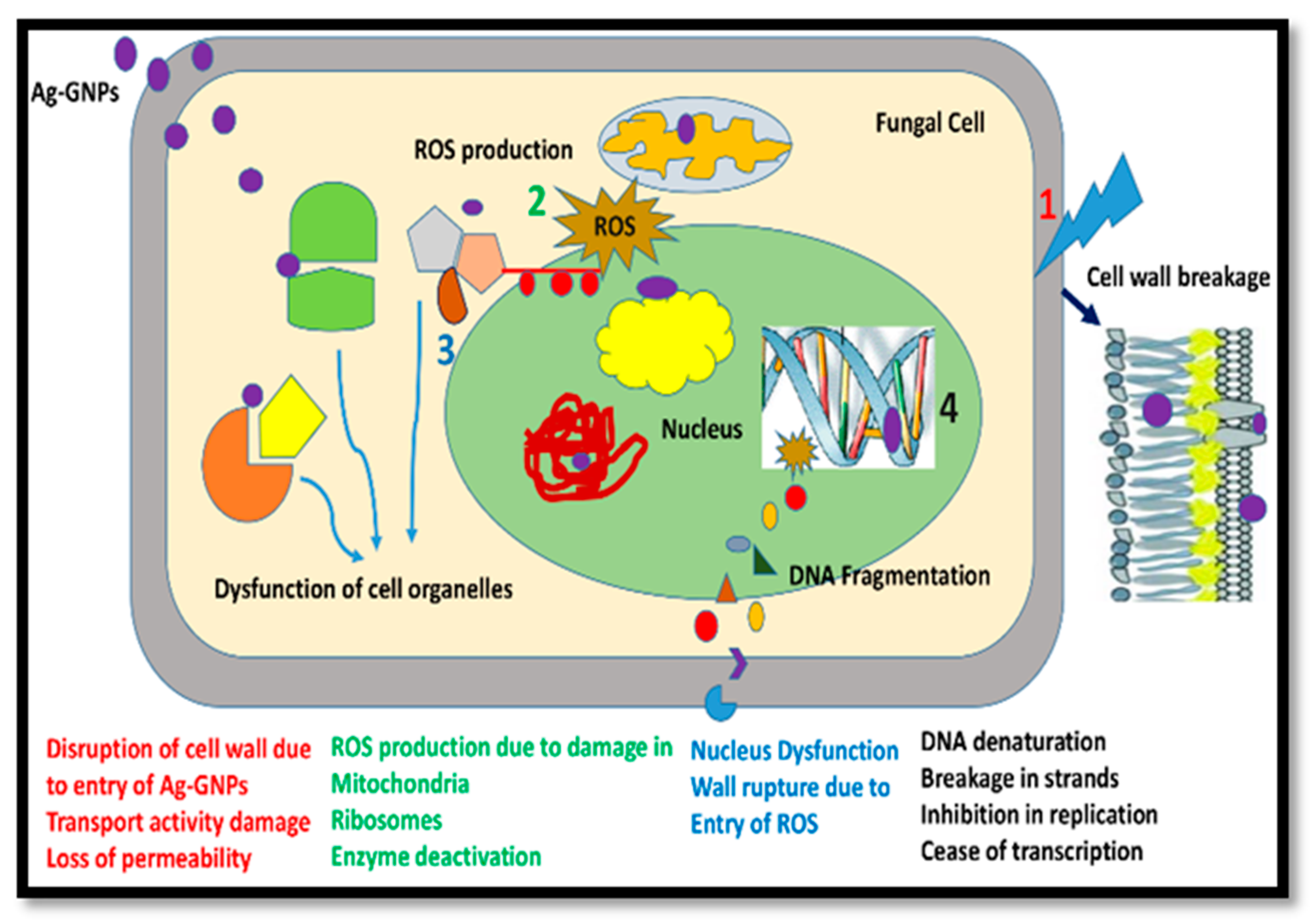 Molecules 28 04139 g007