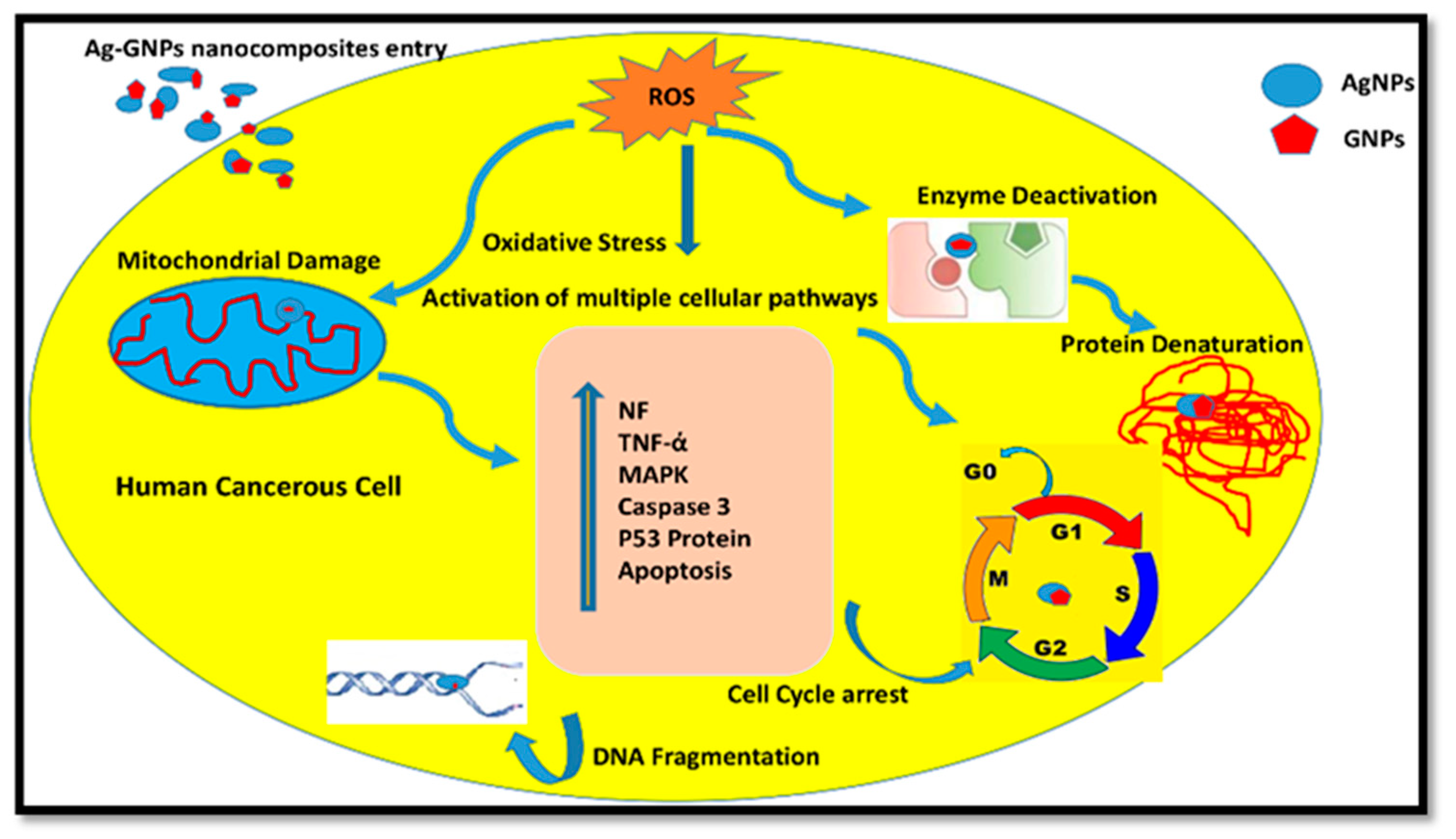 Molecules 28 04139 g009