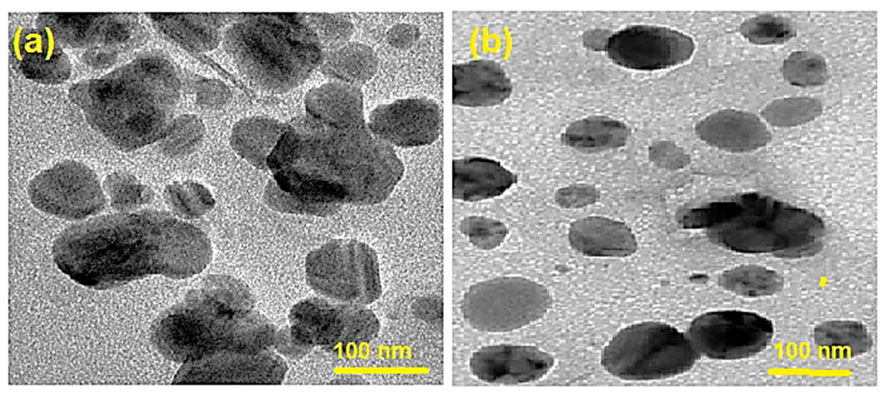 Molecules 28 04146 g003
