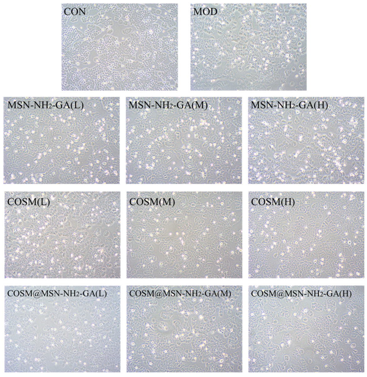 Molecules 28 04147 g006 Molecules 28 04147 g006