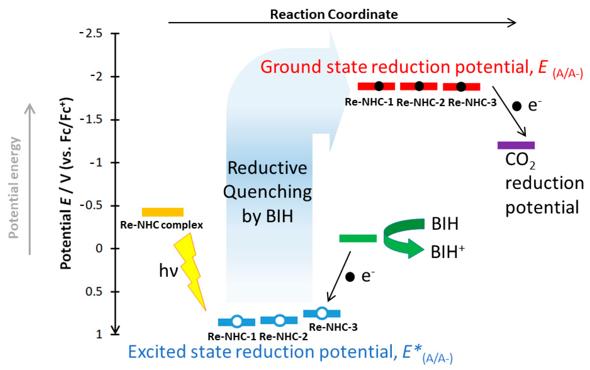 Molecules 28 04149 g007