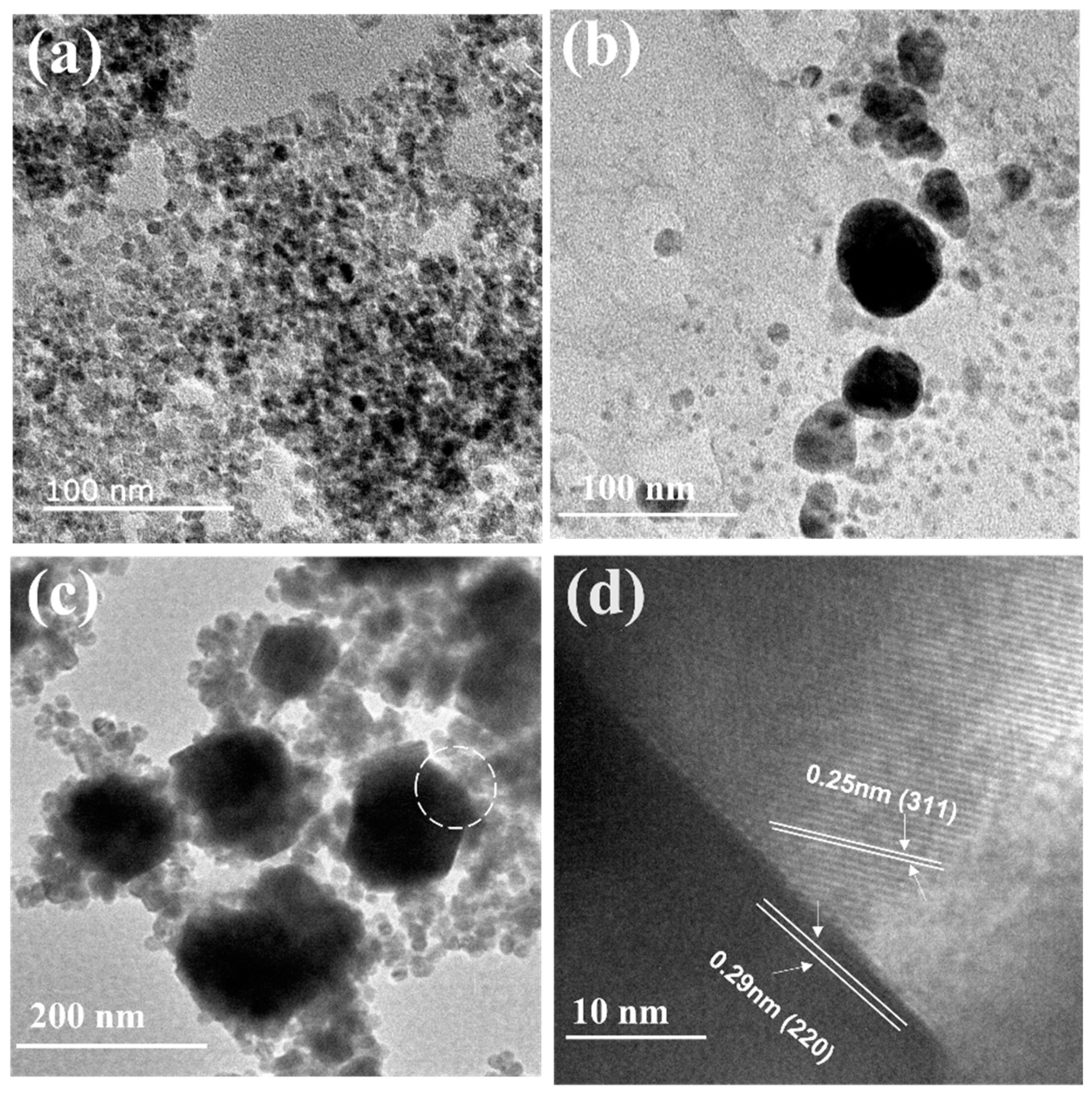 Molecules 28 04155 g001