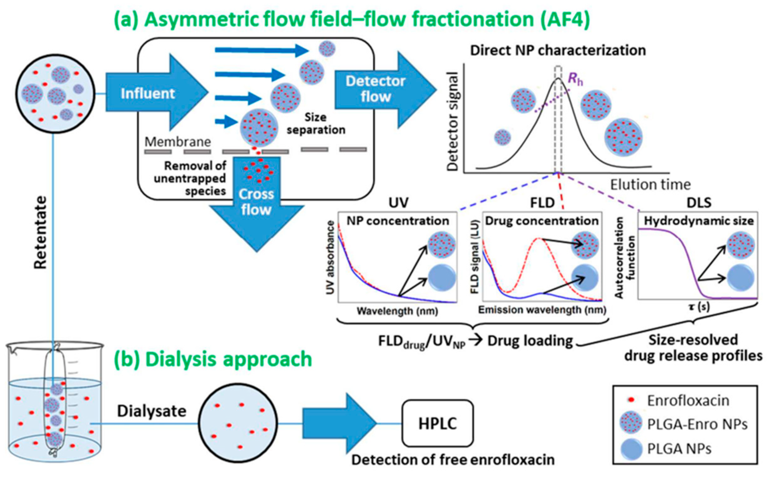 Molecules 28 04169 g005