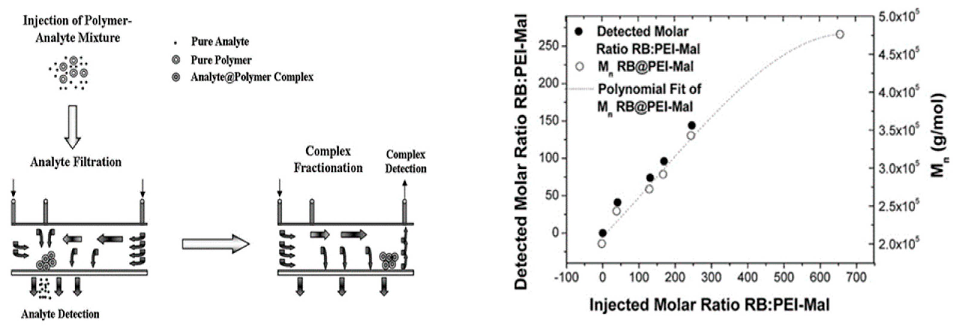 Molecules 28 04169 g008