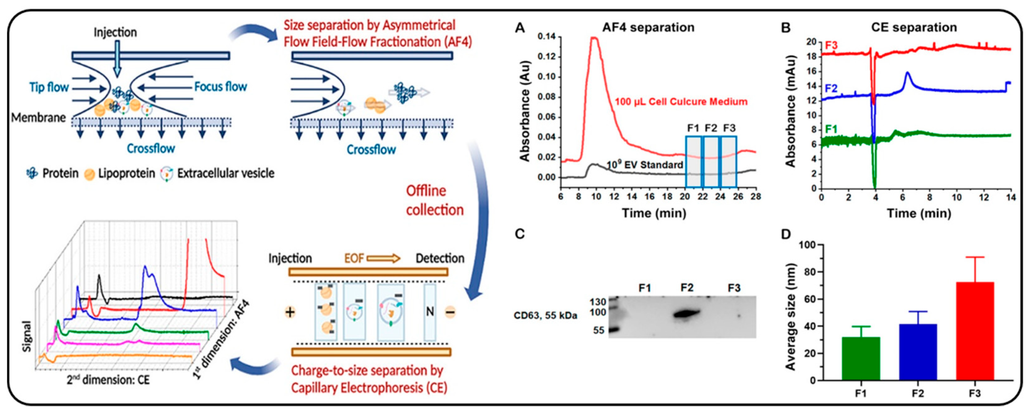 Molecules 28 04169 g011