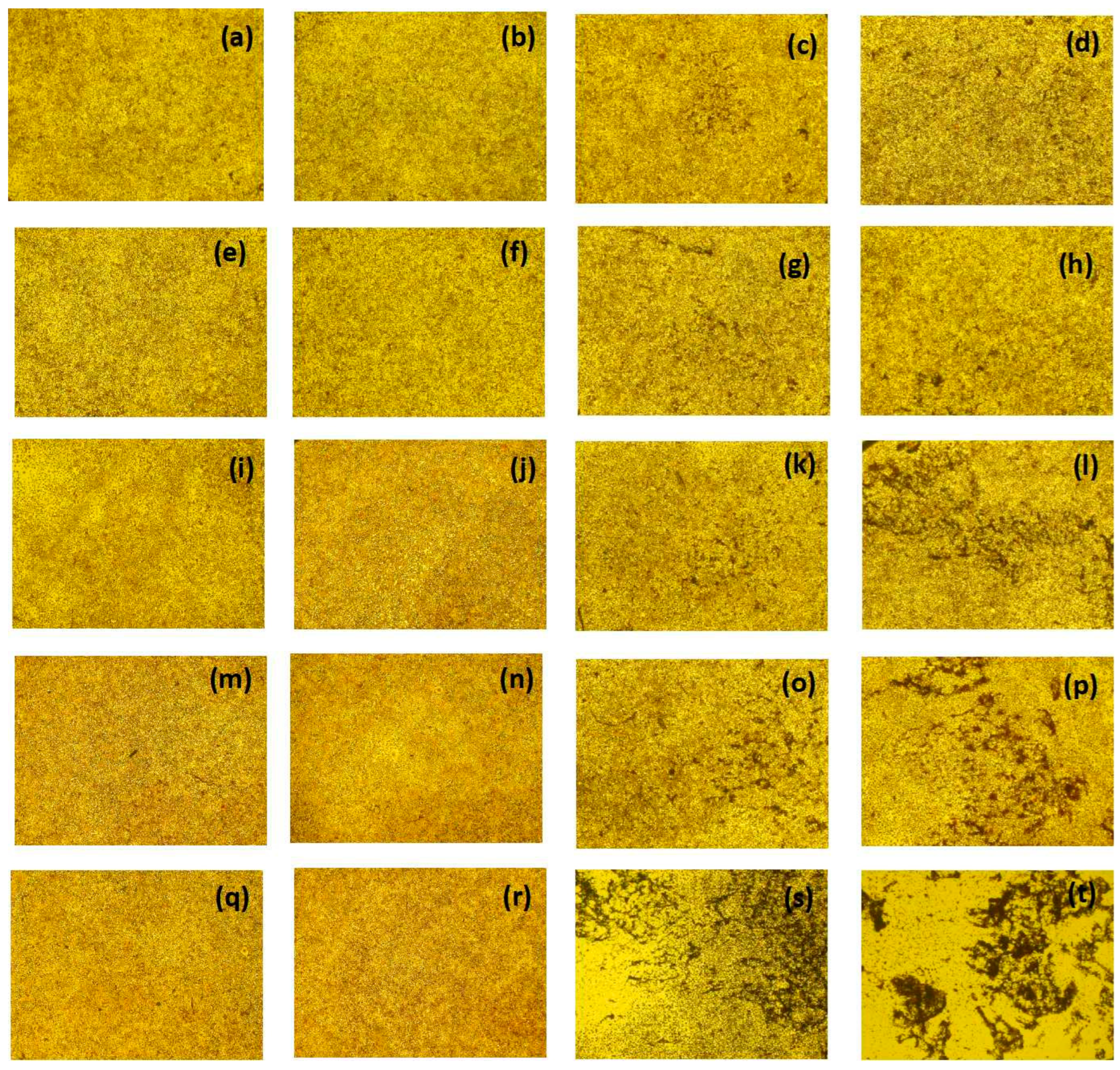 Molecules 28 04173 g015