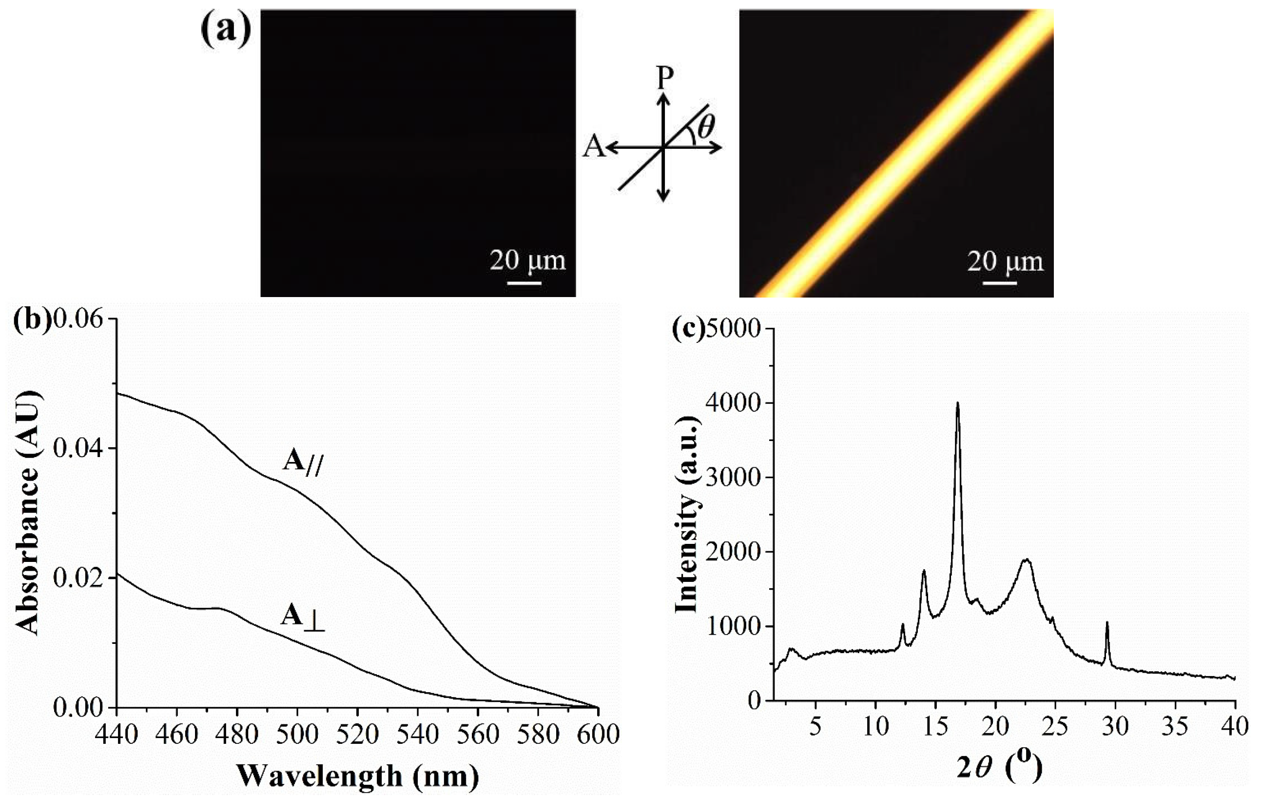 Molecules 28 04174 g004