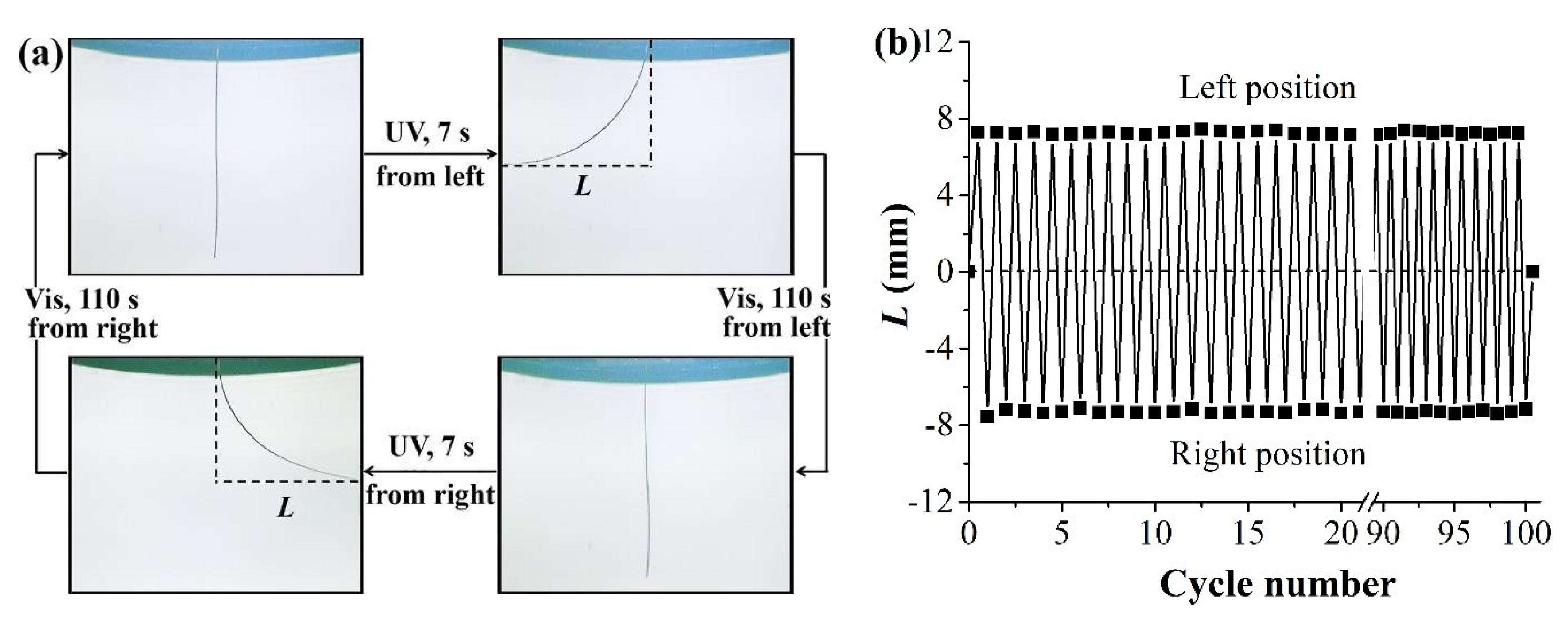 Molecules 28 04174 g006