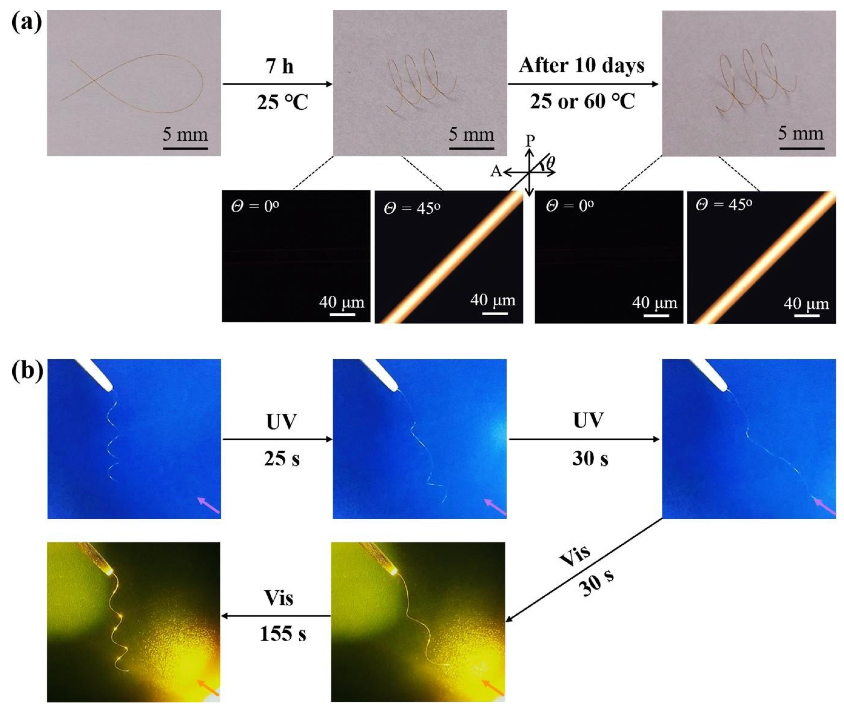 Molecules 28 04174 g008