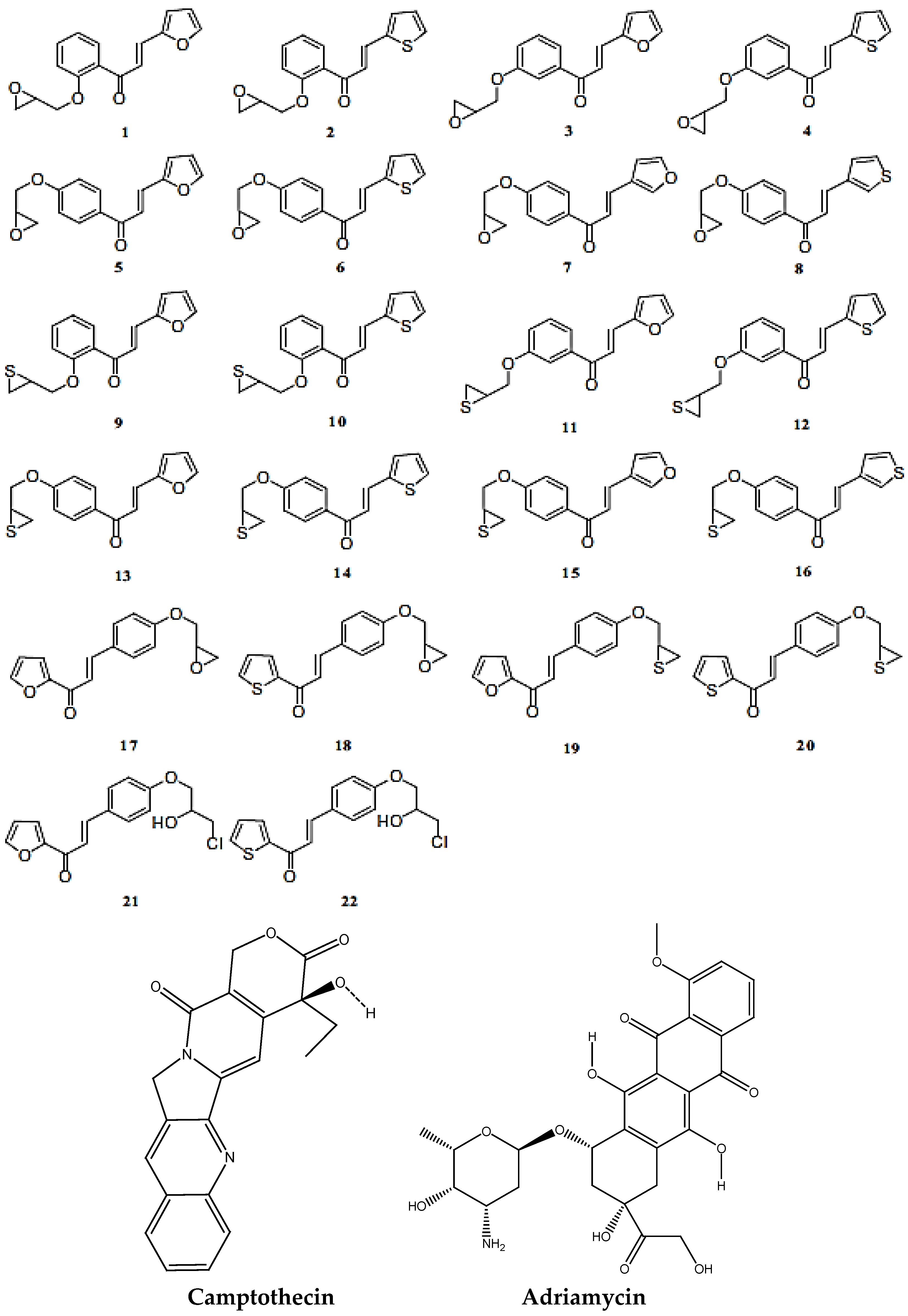 Molecules 28 04175 g003