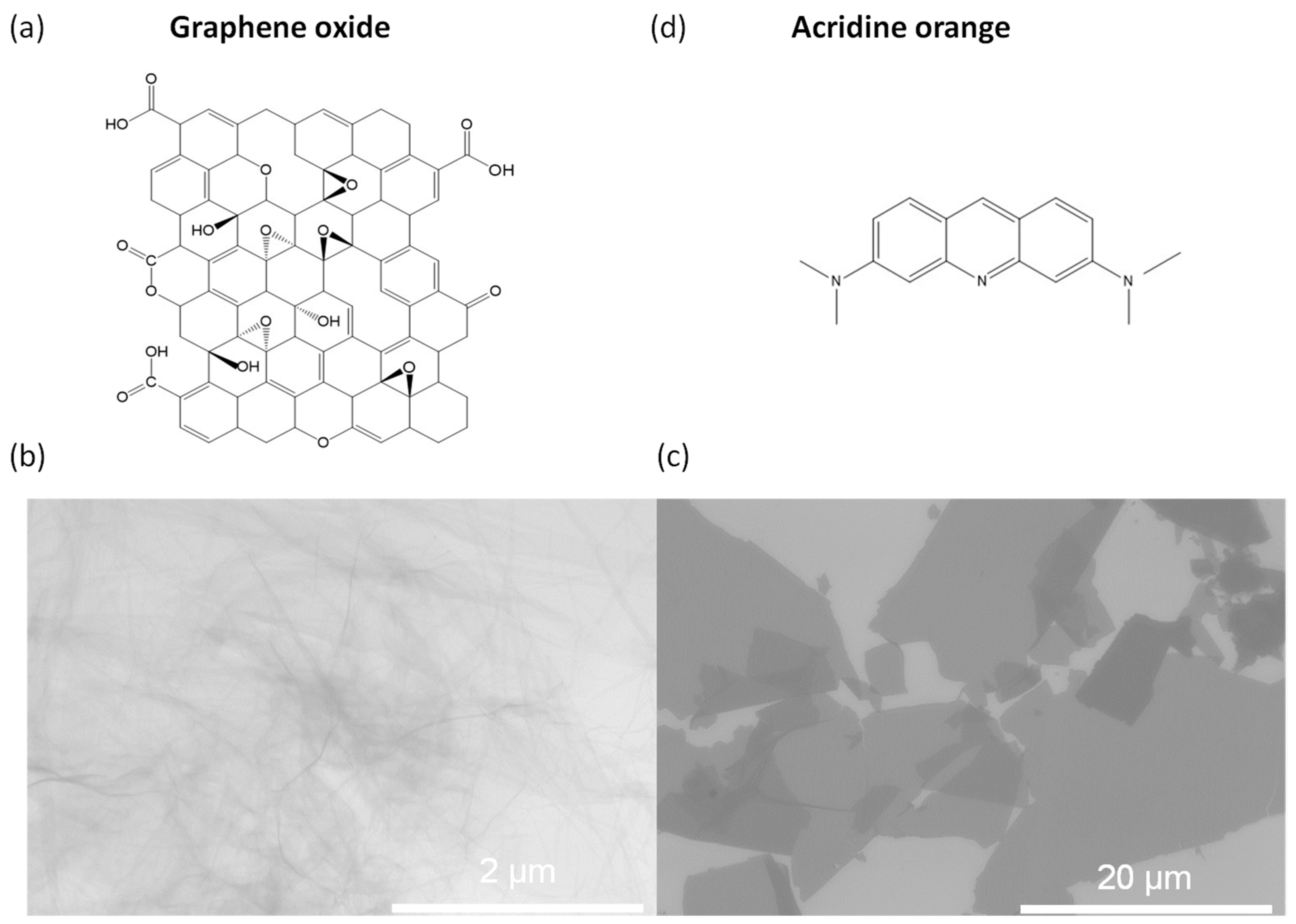 Molecules 28 04179 g001