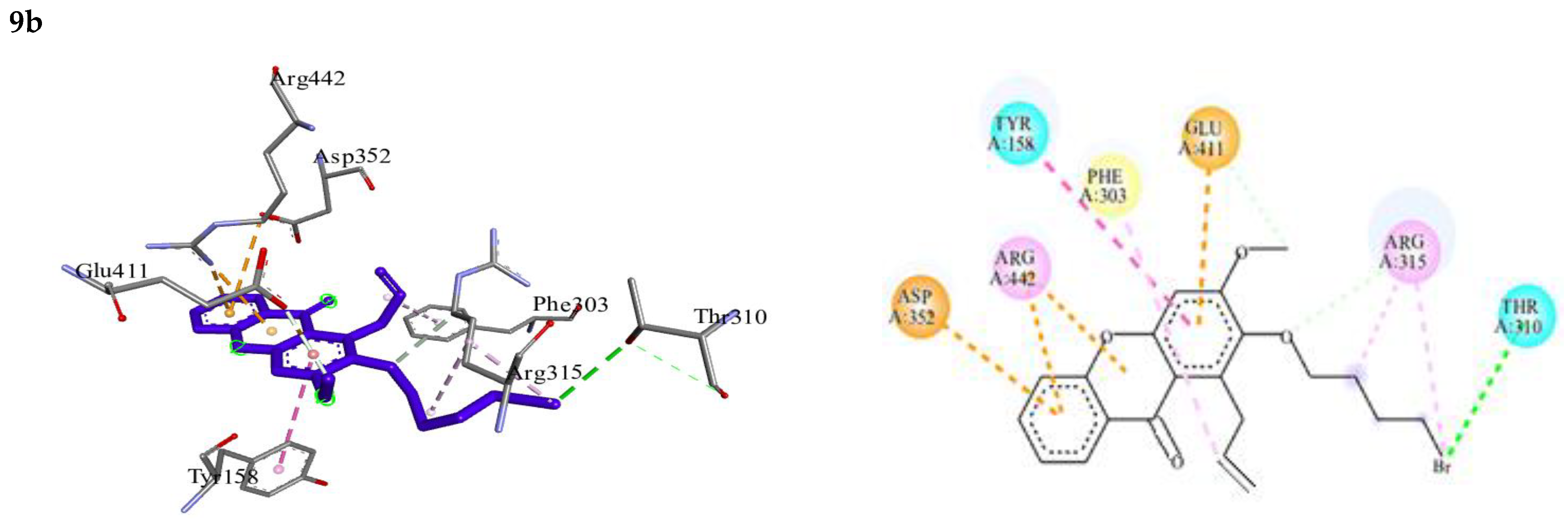 Molecules 28 04180 g003b