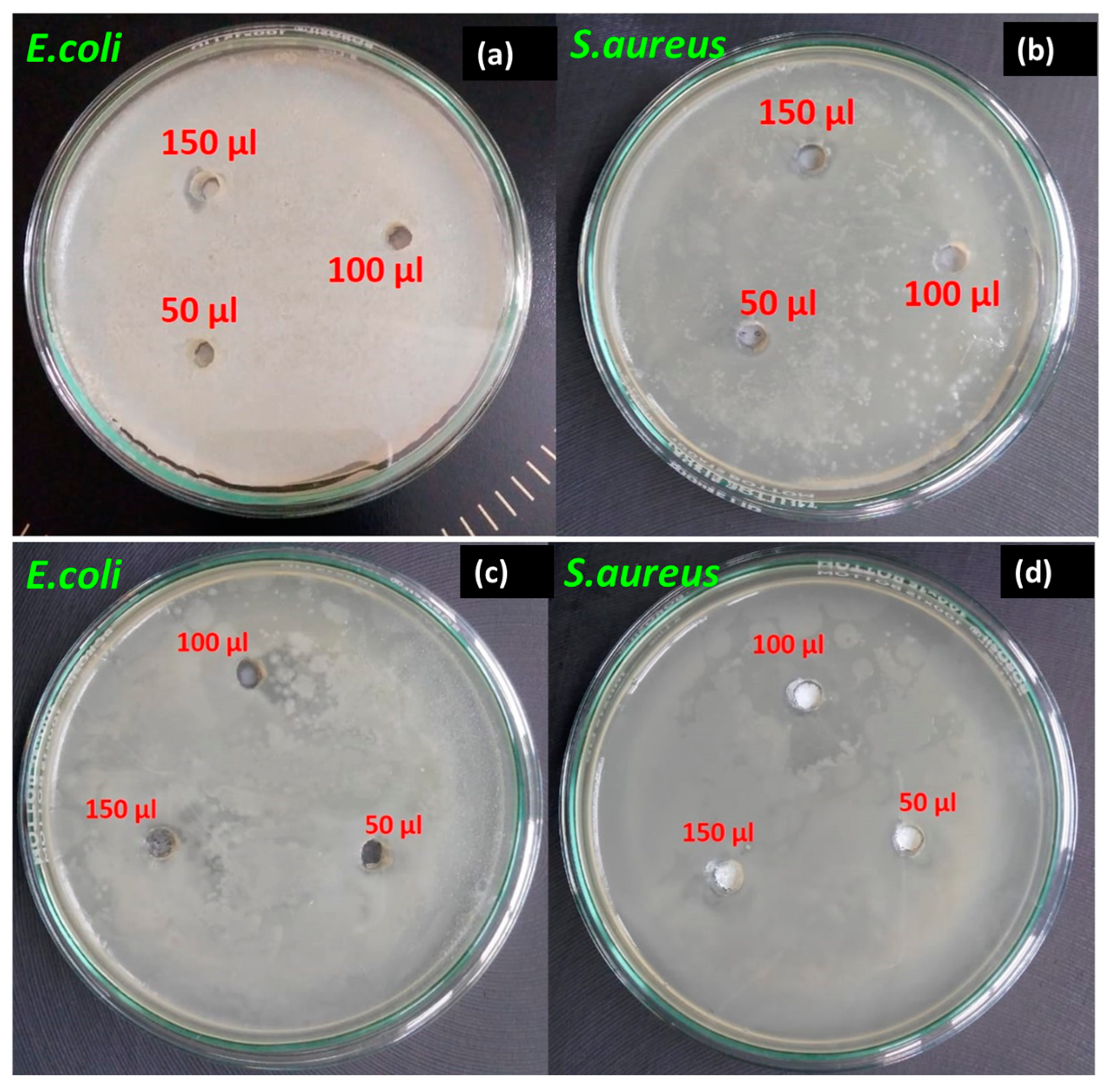 Molecules 28 04182 g005