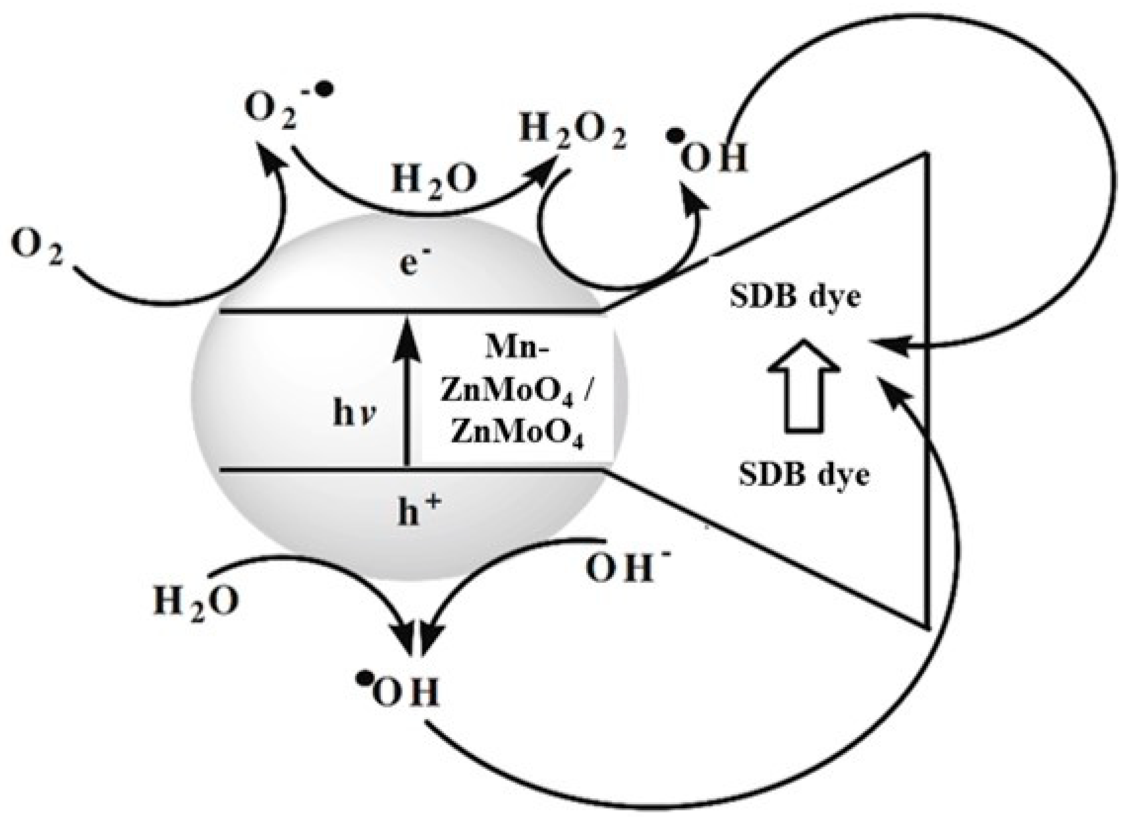 Molecules 28 04182 g009