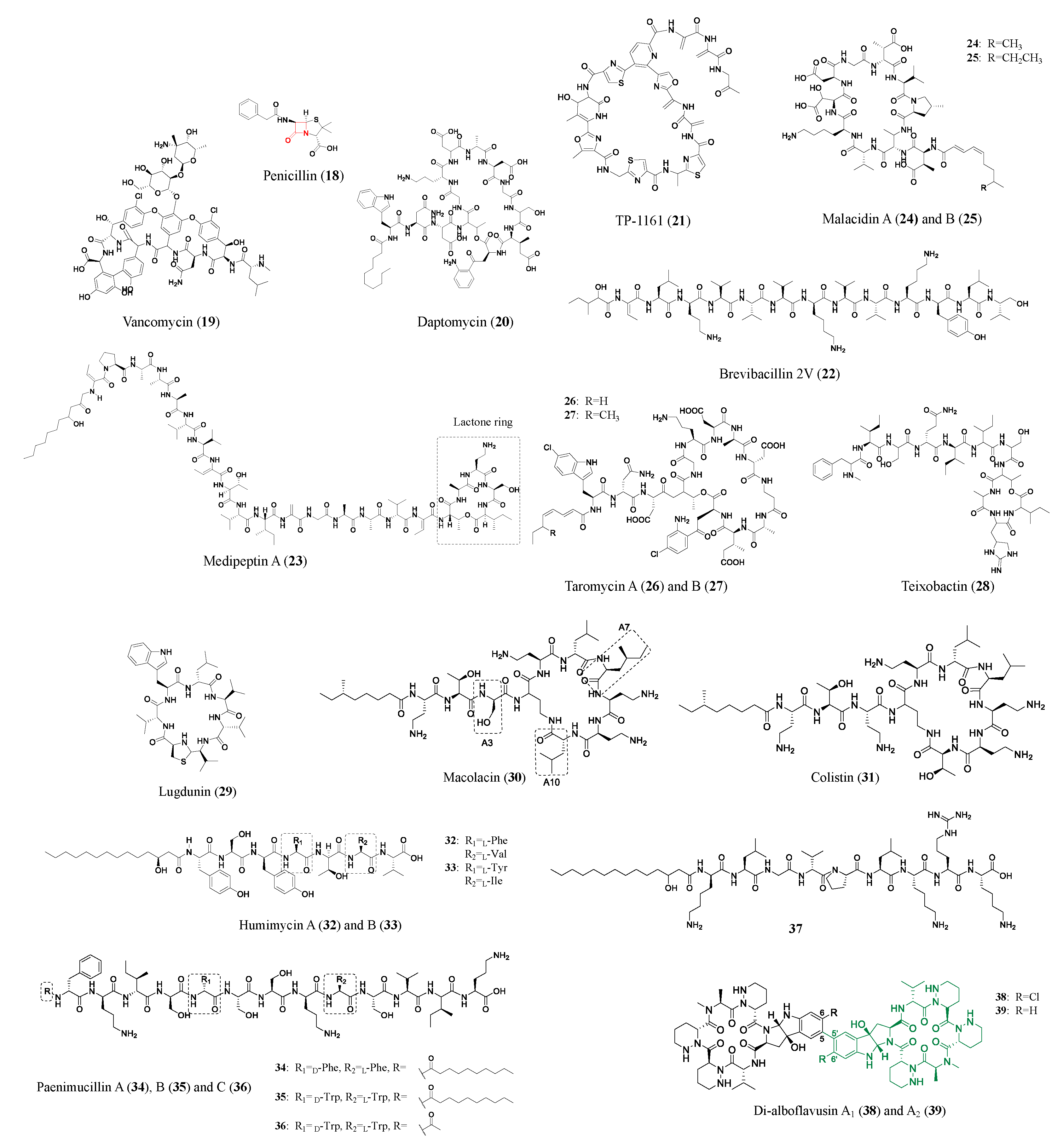 Molecules 28 04183 g003