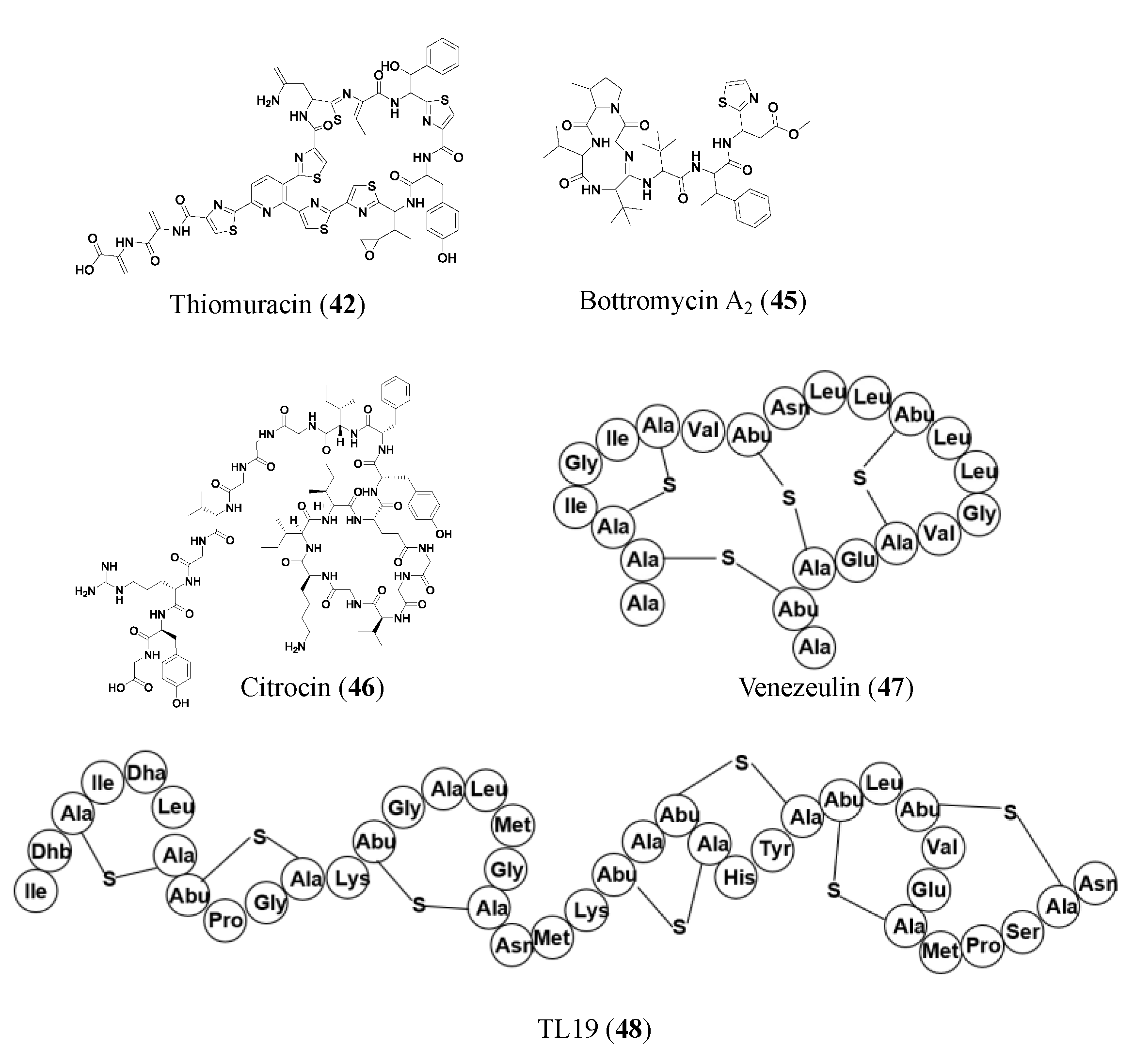 Molecules 28 04183 g004b