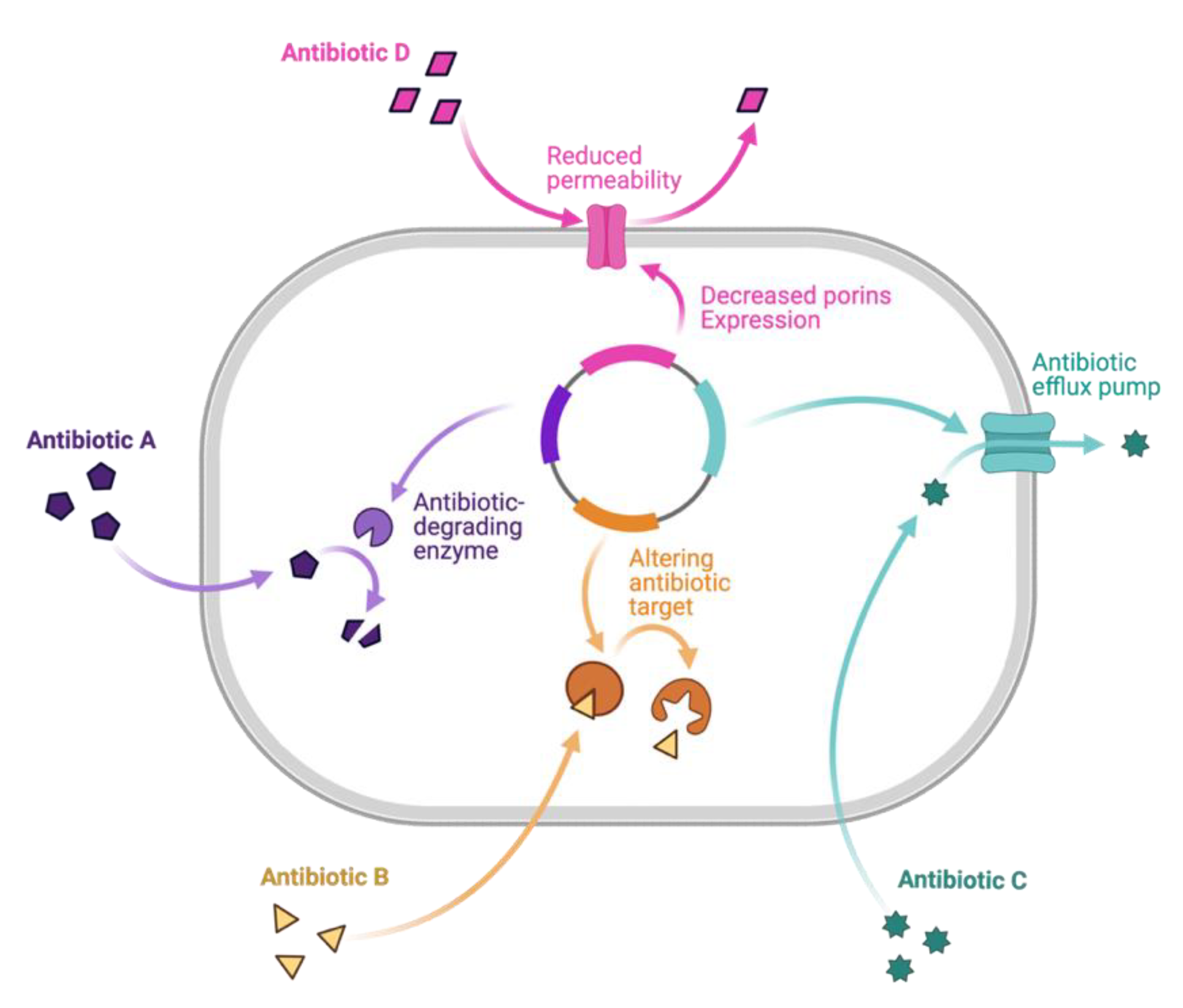 Molecules 28 04183 g007