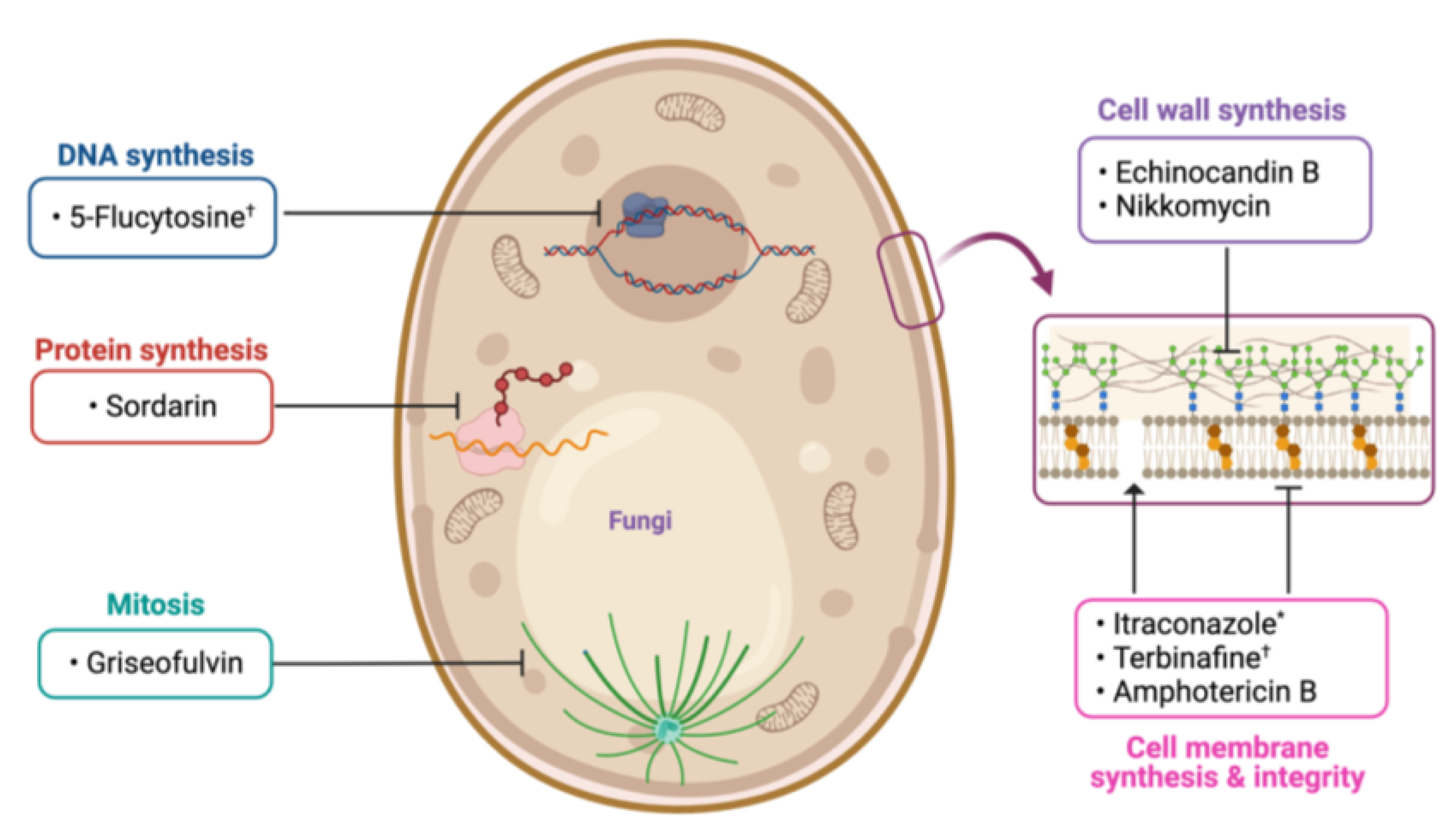 Molecules 28 04183 g009