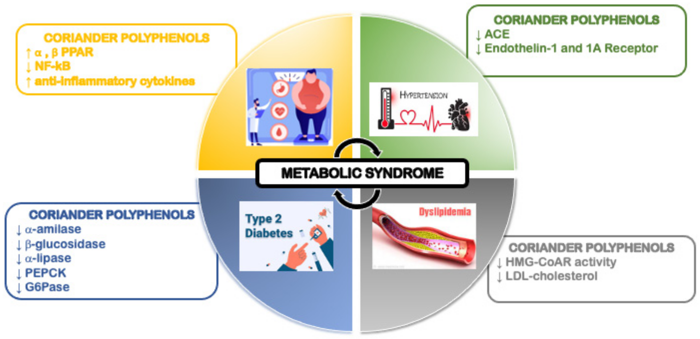 Molecules 28 04187 g002