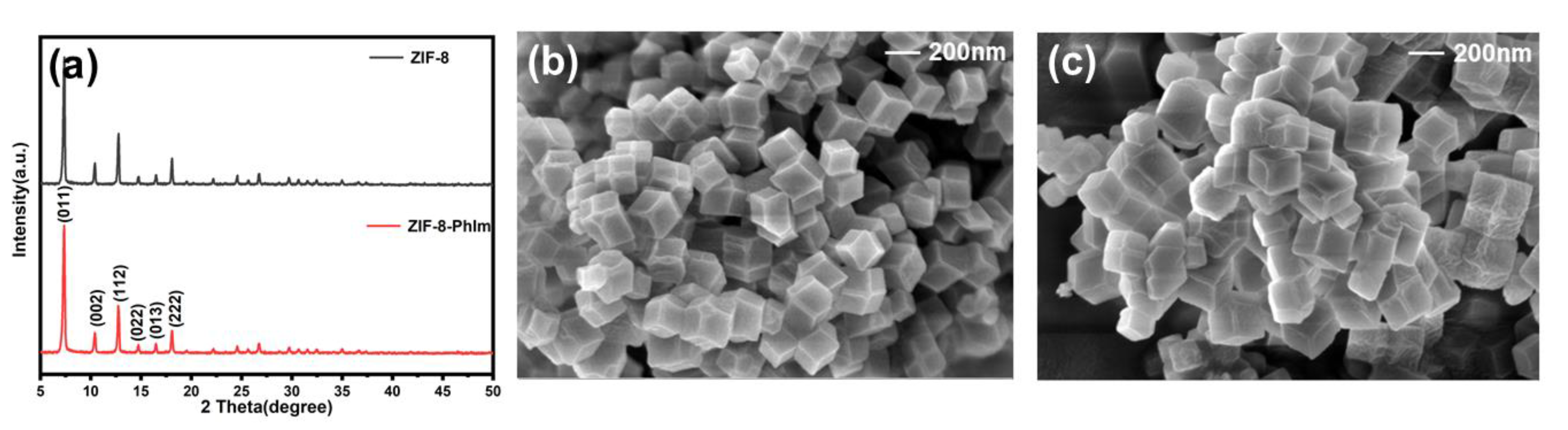 Molecules 28 04195 g001 Molecules 28 04195 g001