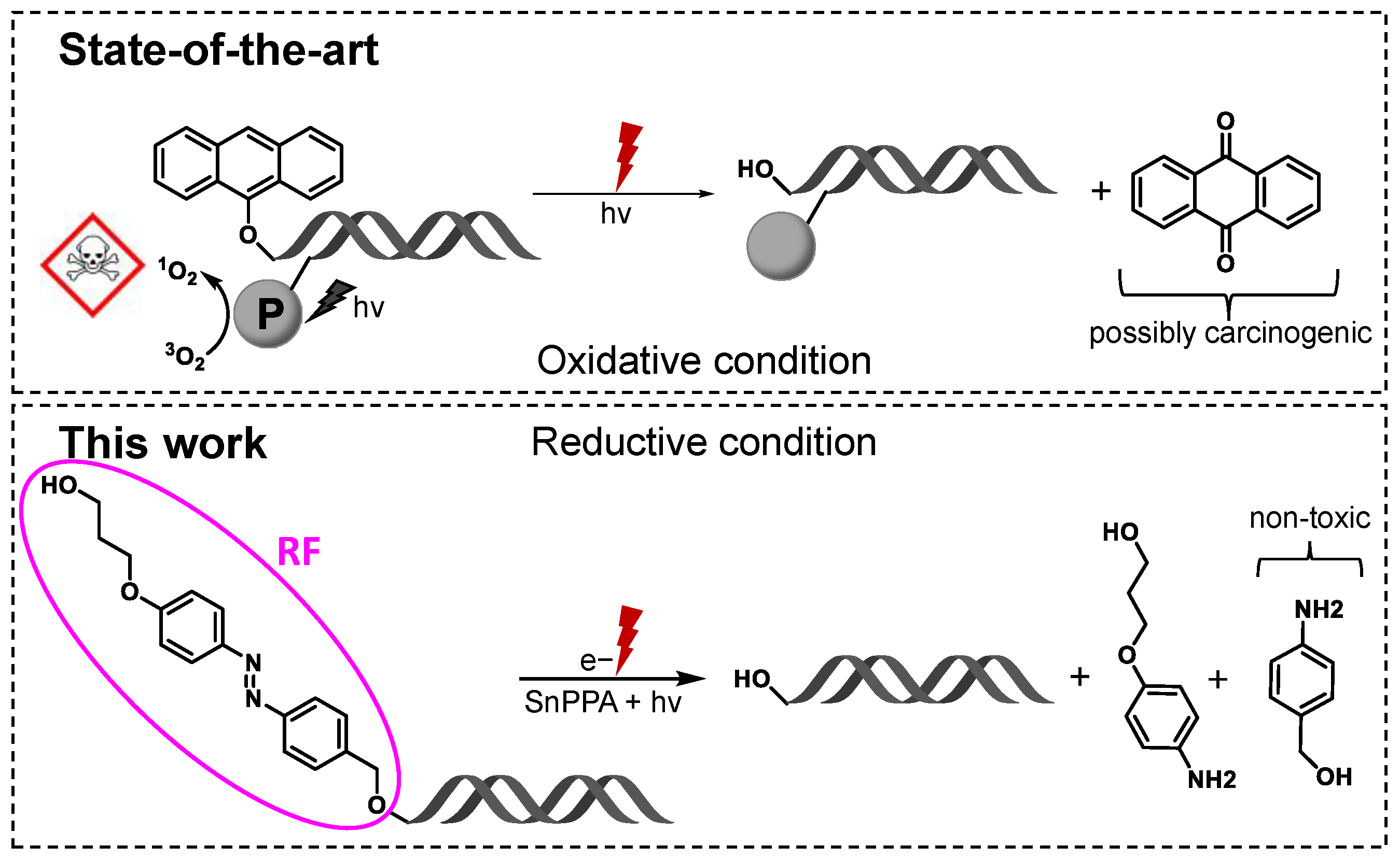 Molecules 28 04204 g001