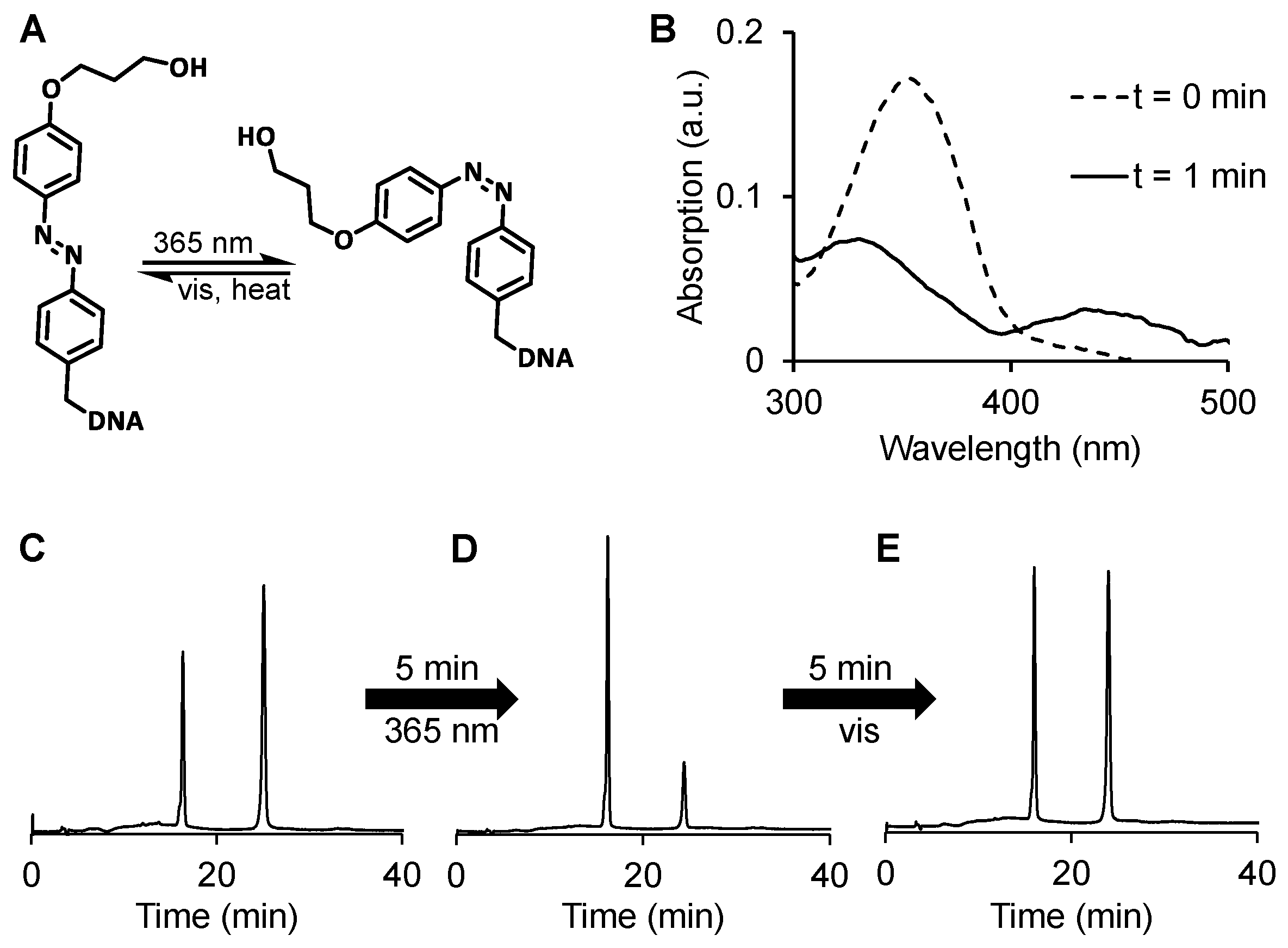 Molecules 28 04204 g003