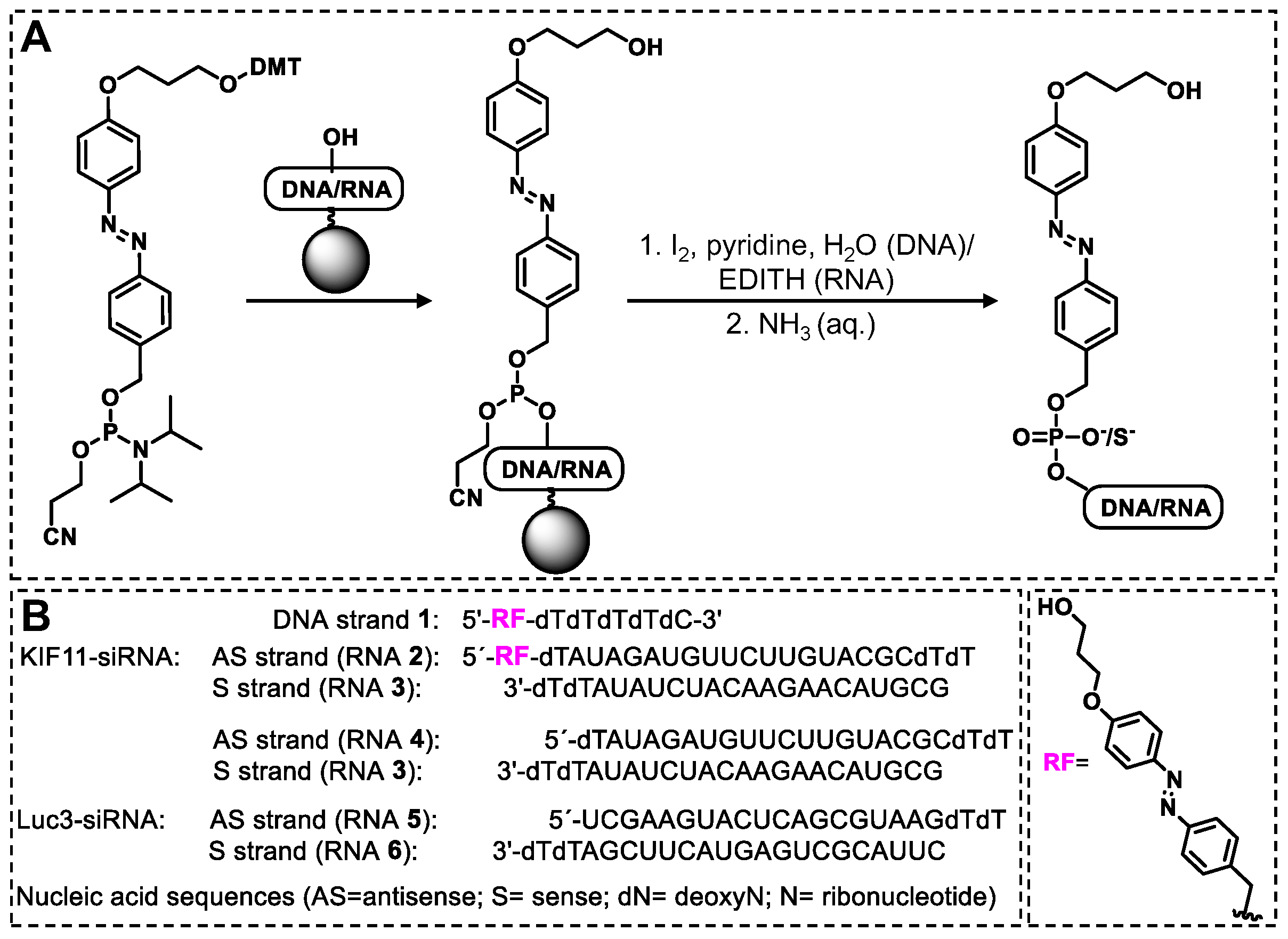Molecules 28 04204 sch001