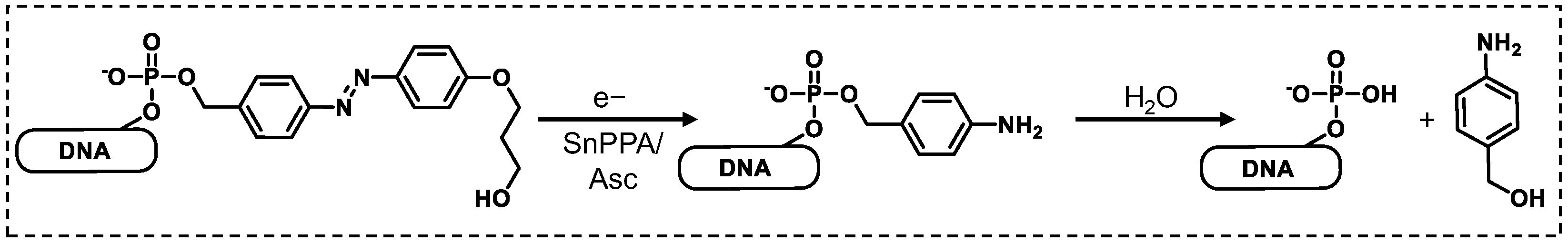 Molecules 28 04204 sch002