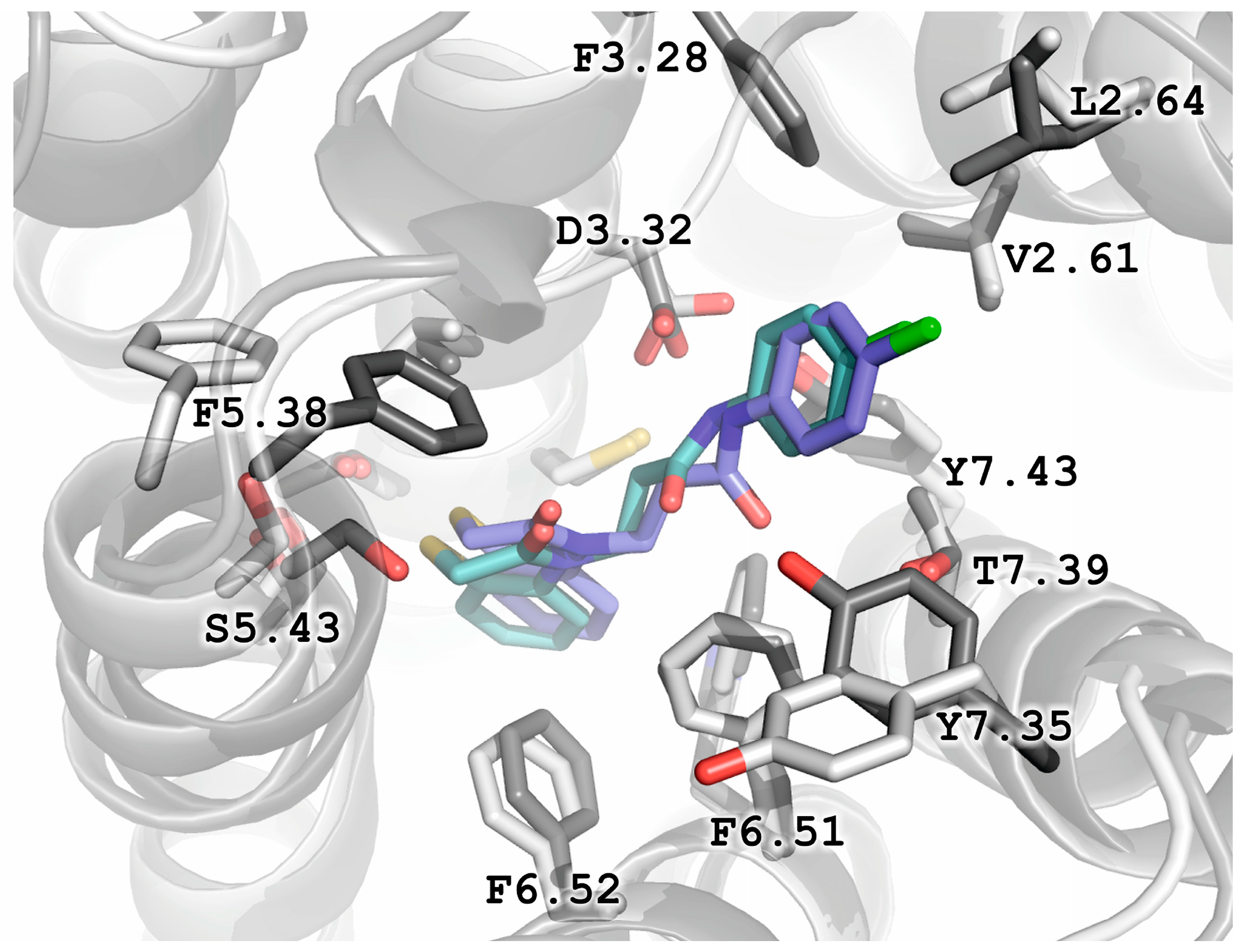Molecules 28 04211 g006 Molecules 28 04211 g006
