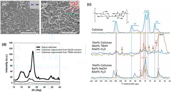Molecules 28 04216 g004