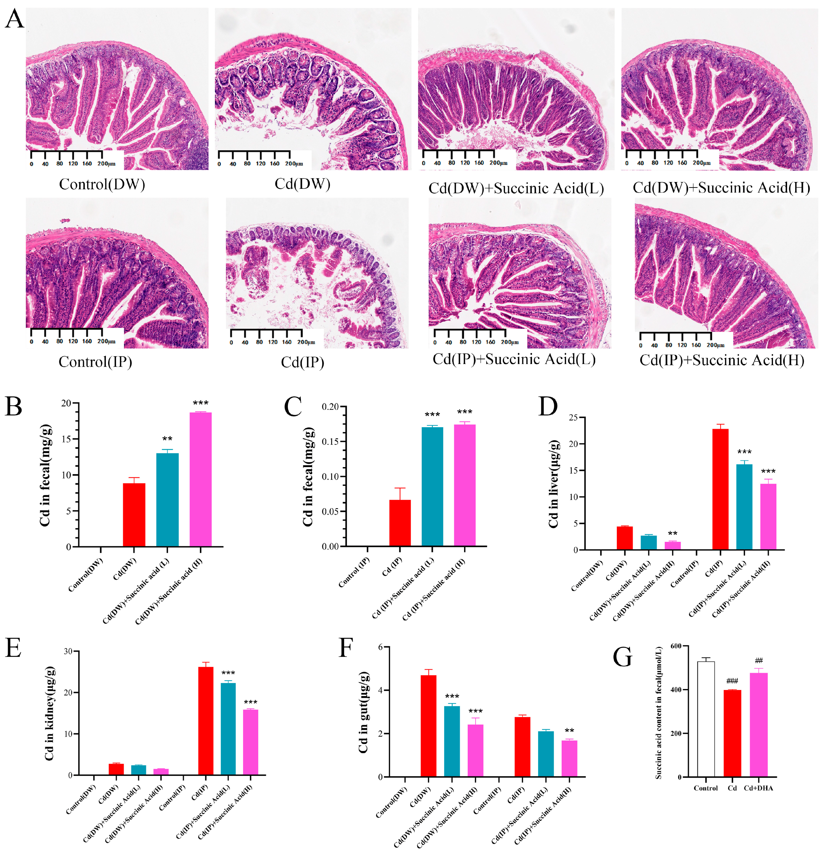 Molecules 28 04217 g006 Molecules 28 04217 g006
