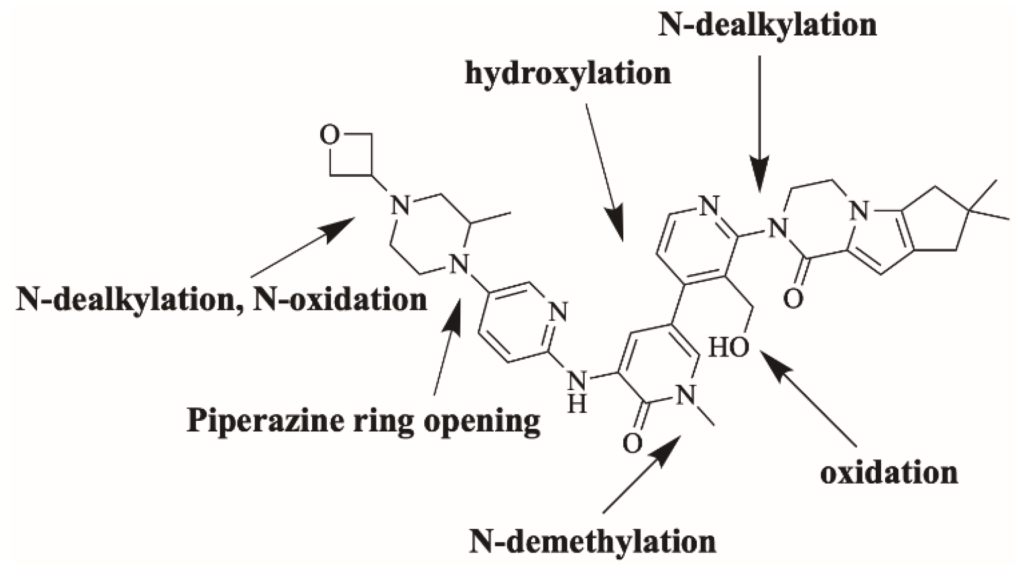 Molecules 28 04225 g004 Molecules 28 04225 g004