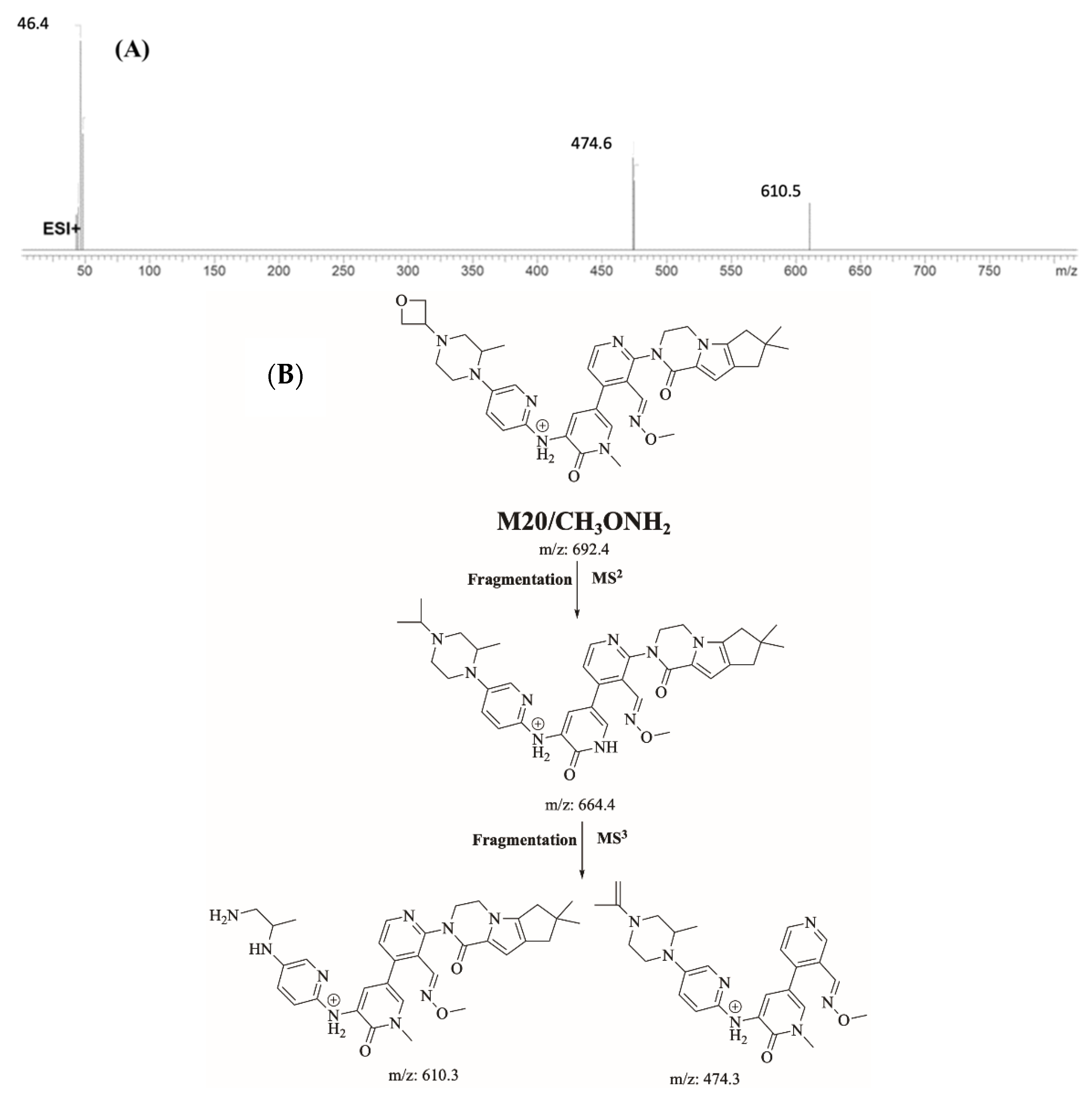 Molecules 28 04225 g013 Molecules 28 04225 g013