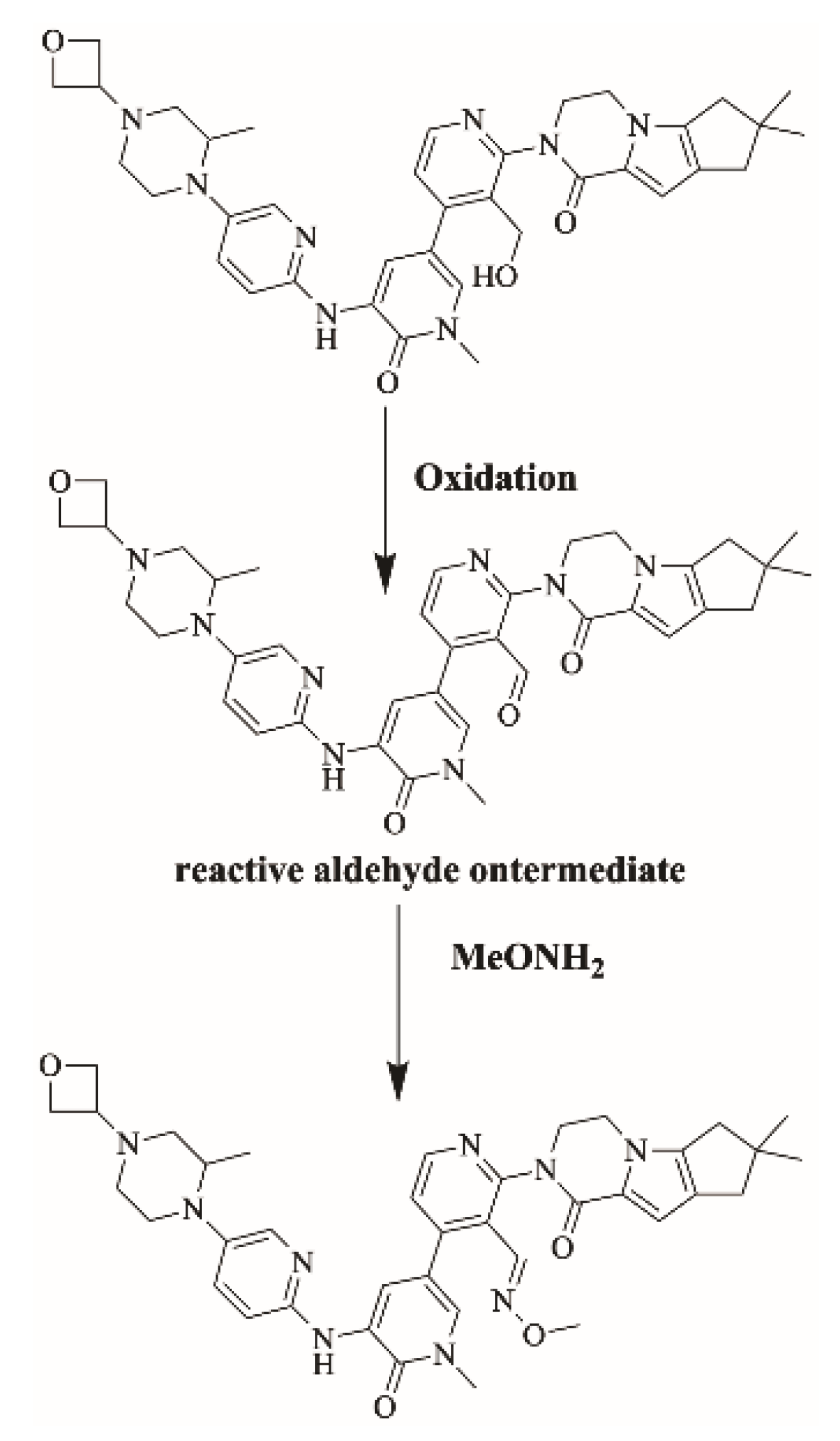 Molecules 28 04225 g014 Molecules 28 04225 g014
