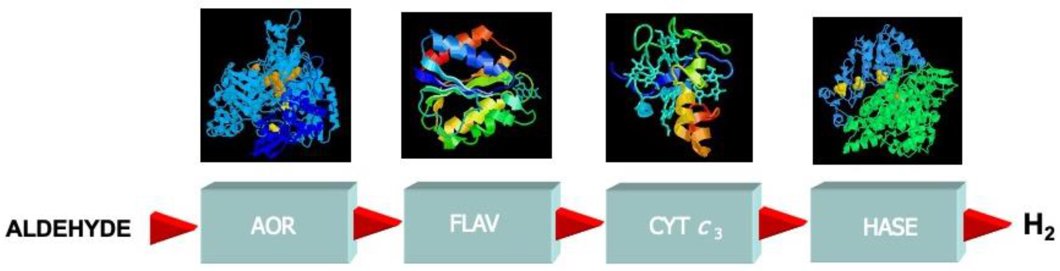 Molecules 28 04229 g004