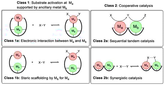 Molecules 28 04233 g003