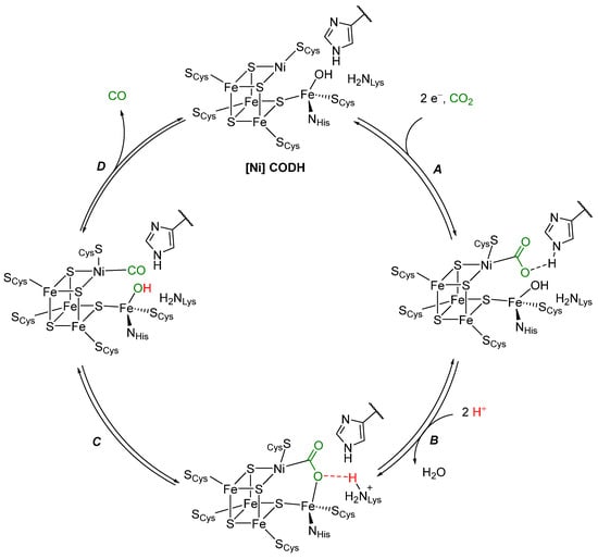 Molecules 28 04233 sch002