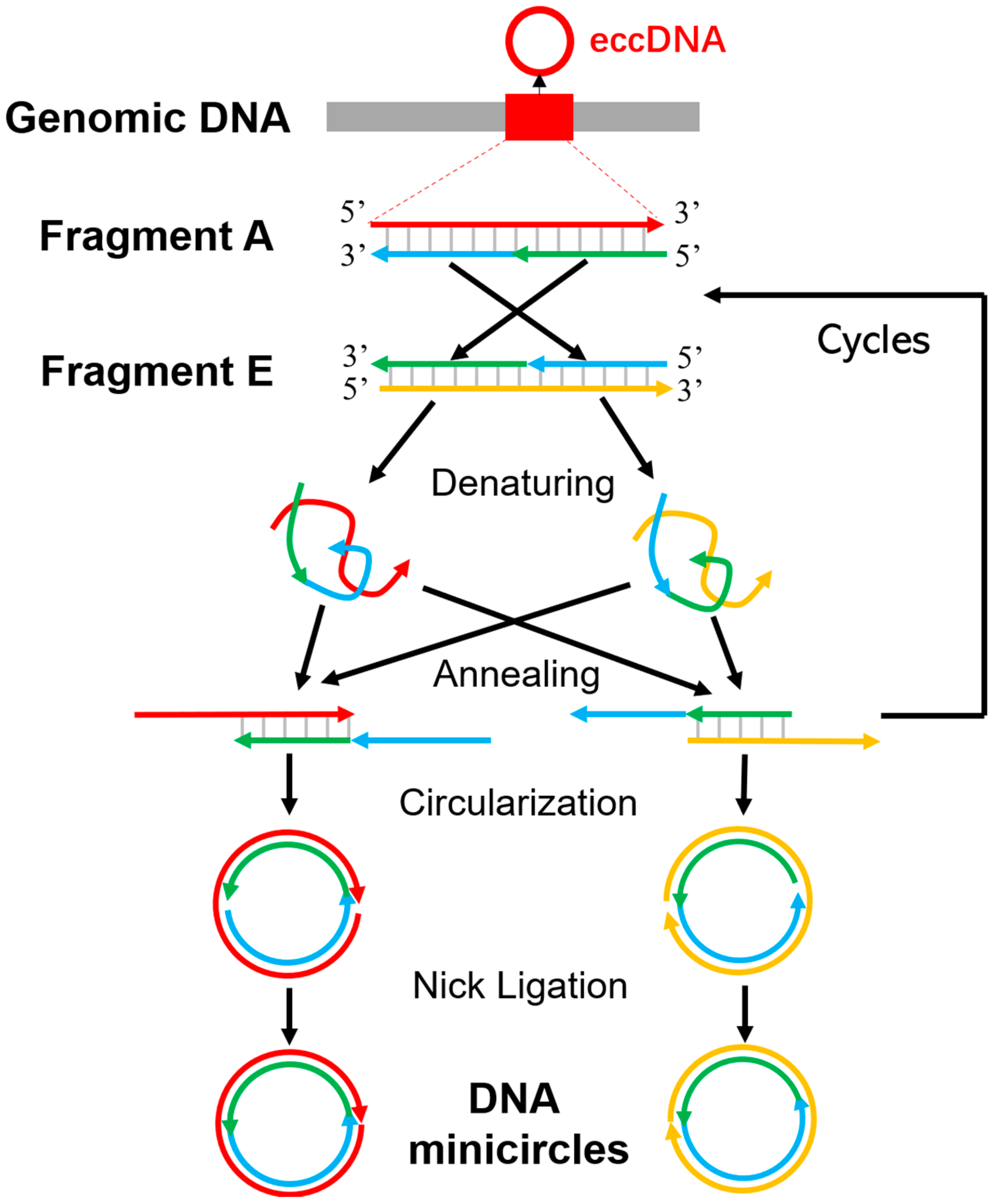 Molecules 28 04236 g001