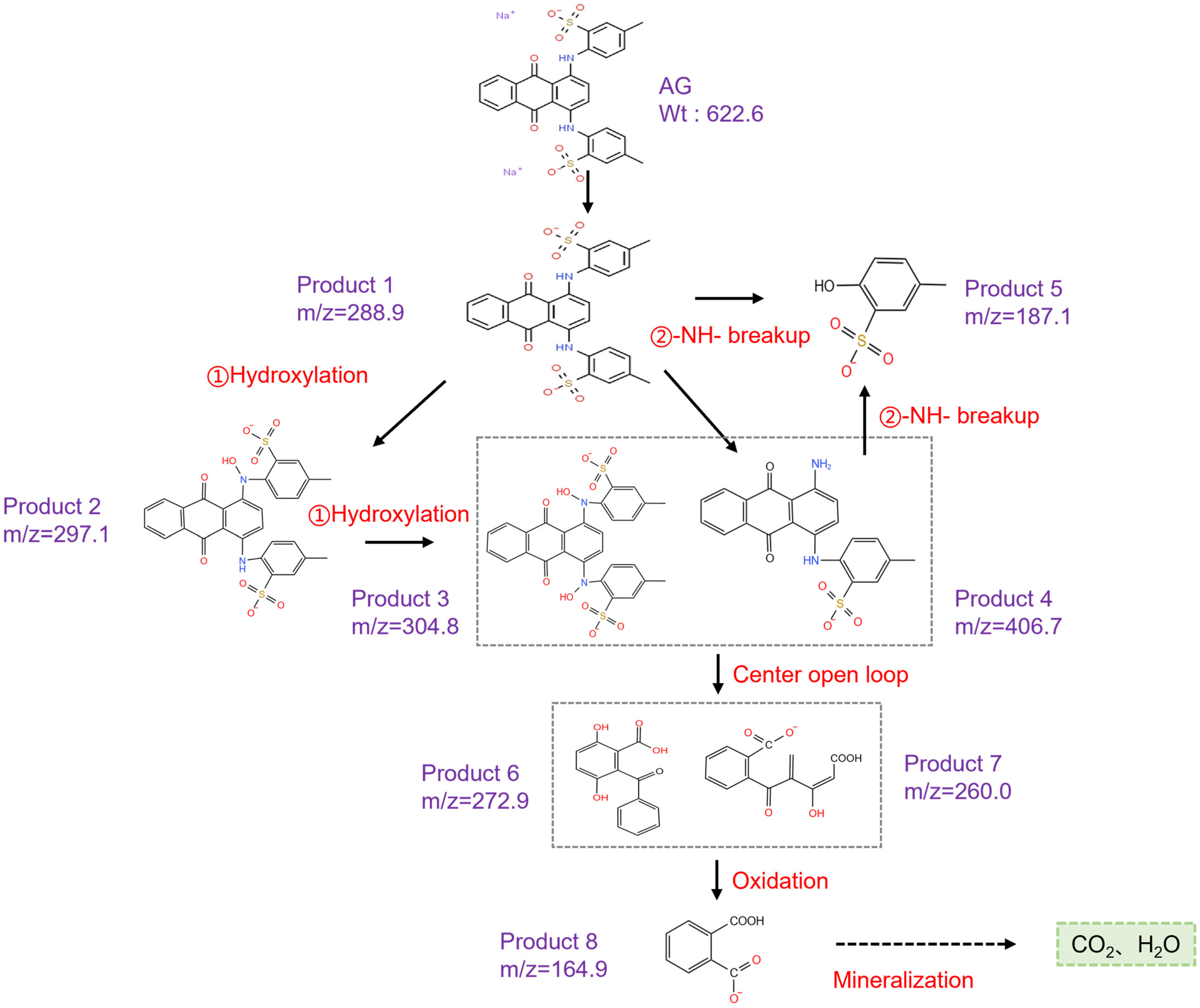Molecules 28 04237 g007 Molecules 28 04237 g007