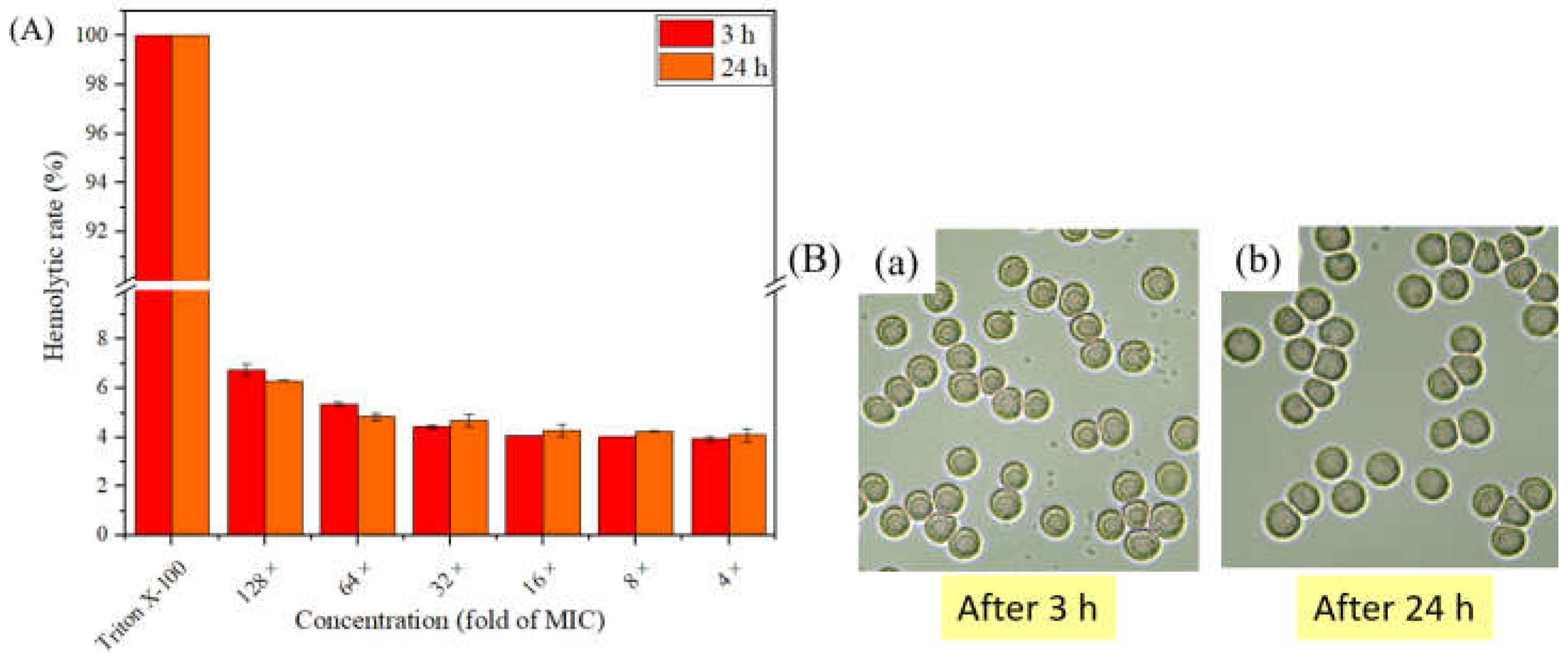 Molecules 28 04240 g002