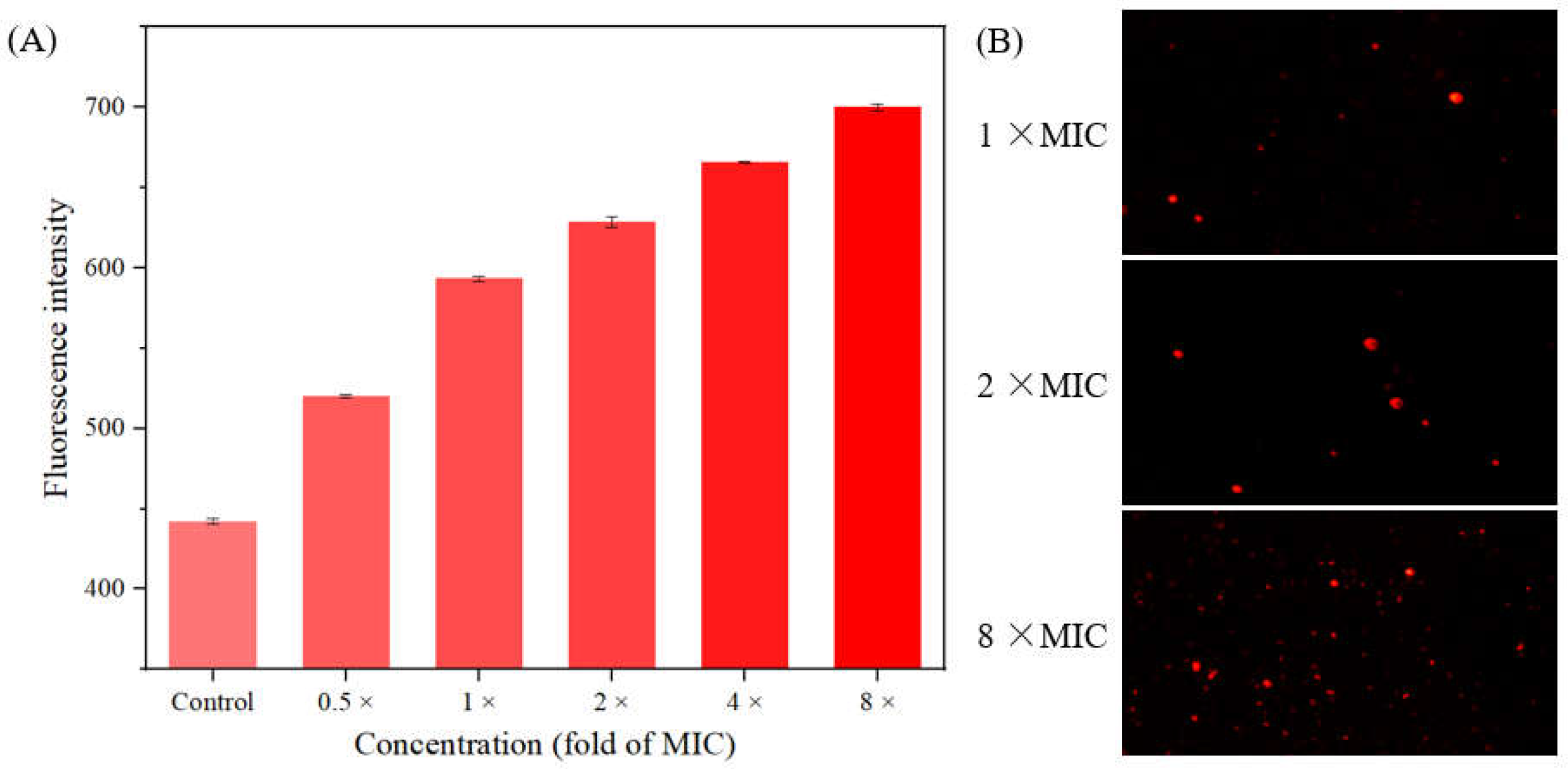 Molecules 28 04240 g007