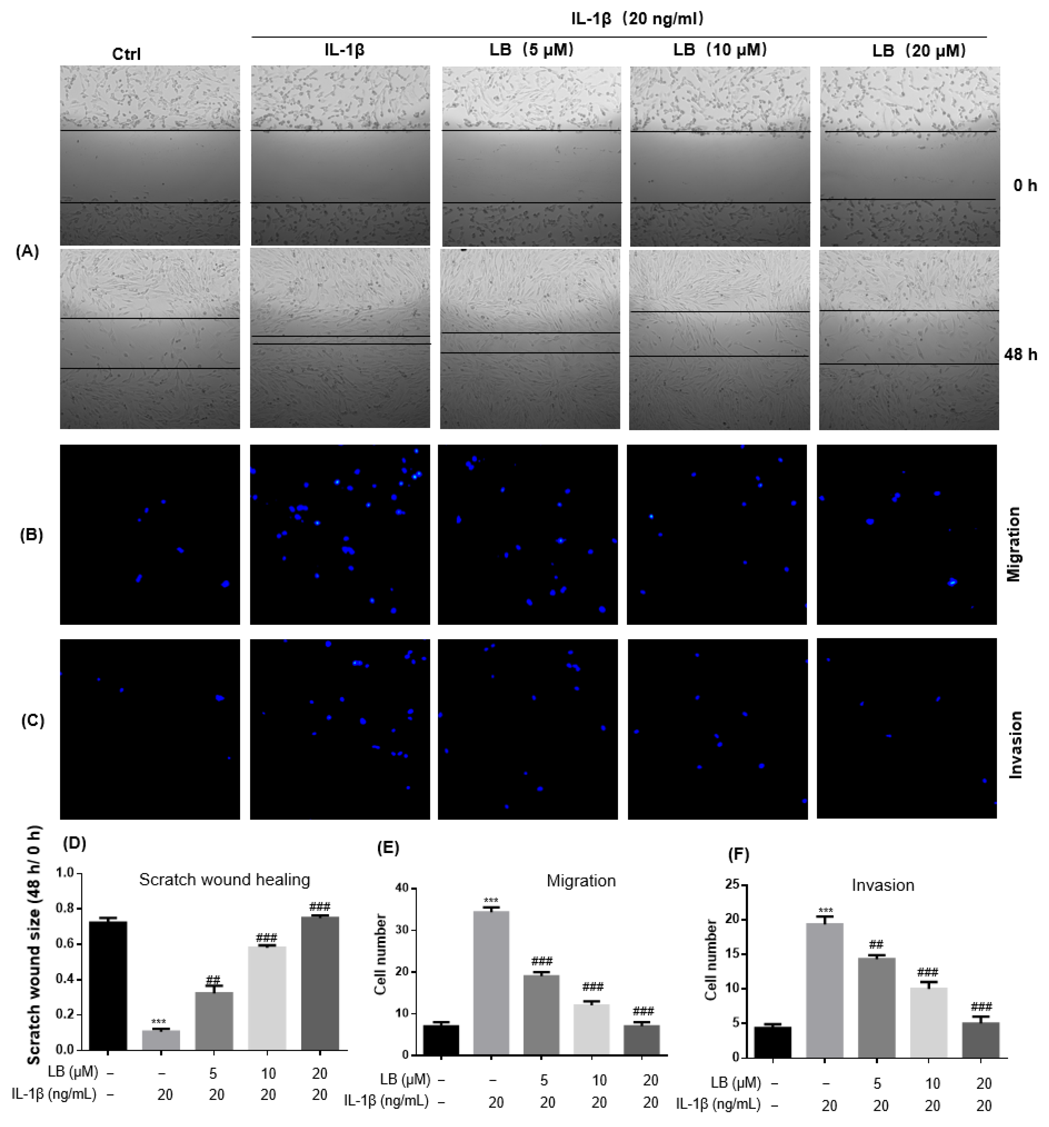 Molecules 28 04241 g002