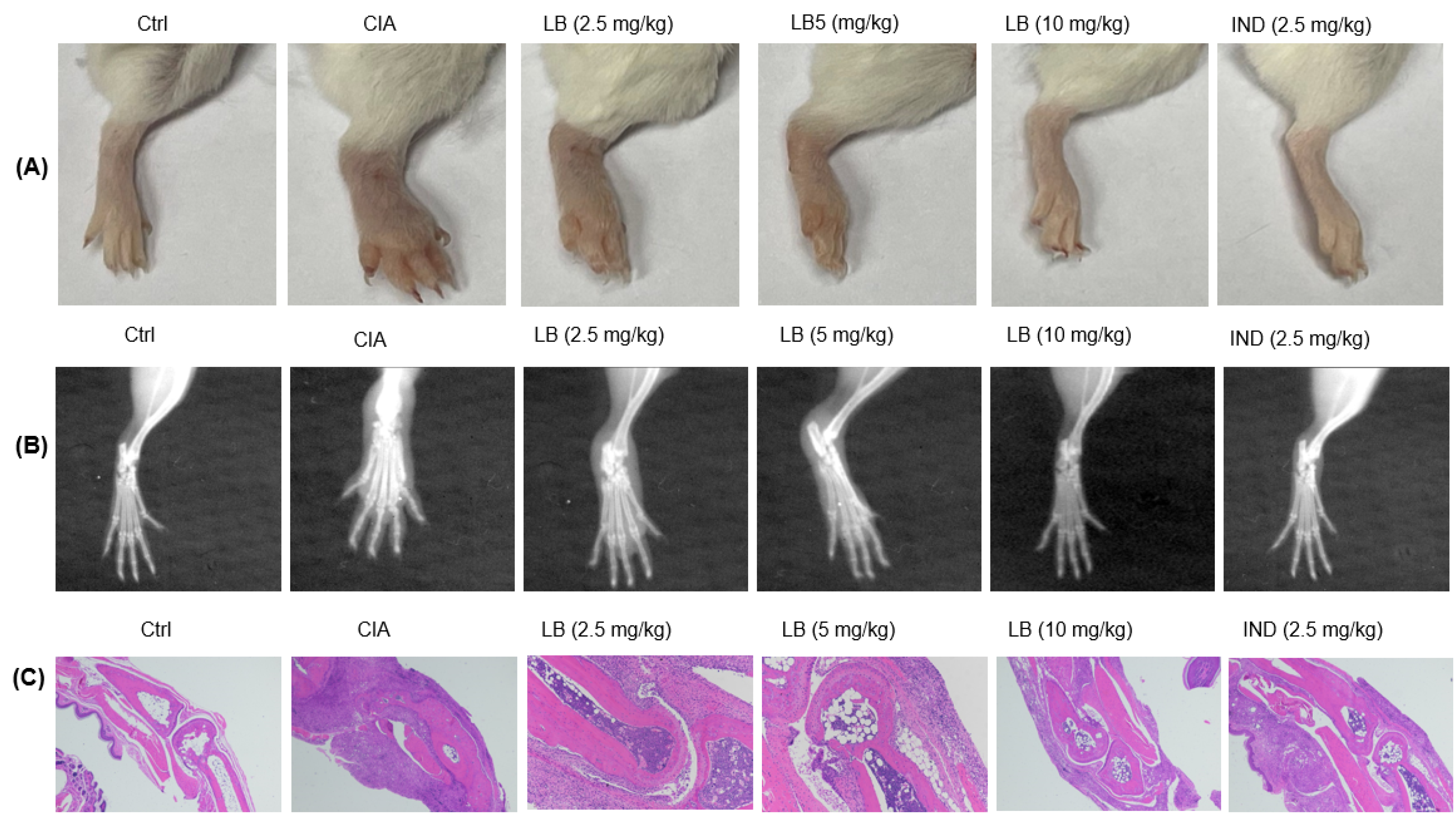 Molecules 28 04241 g006