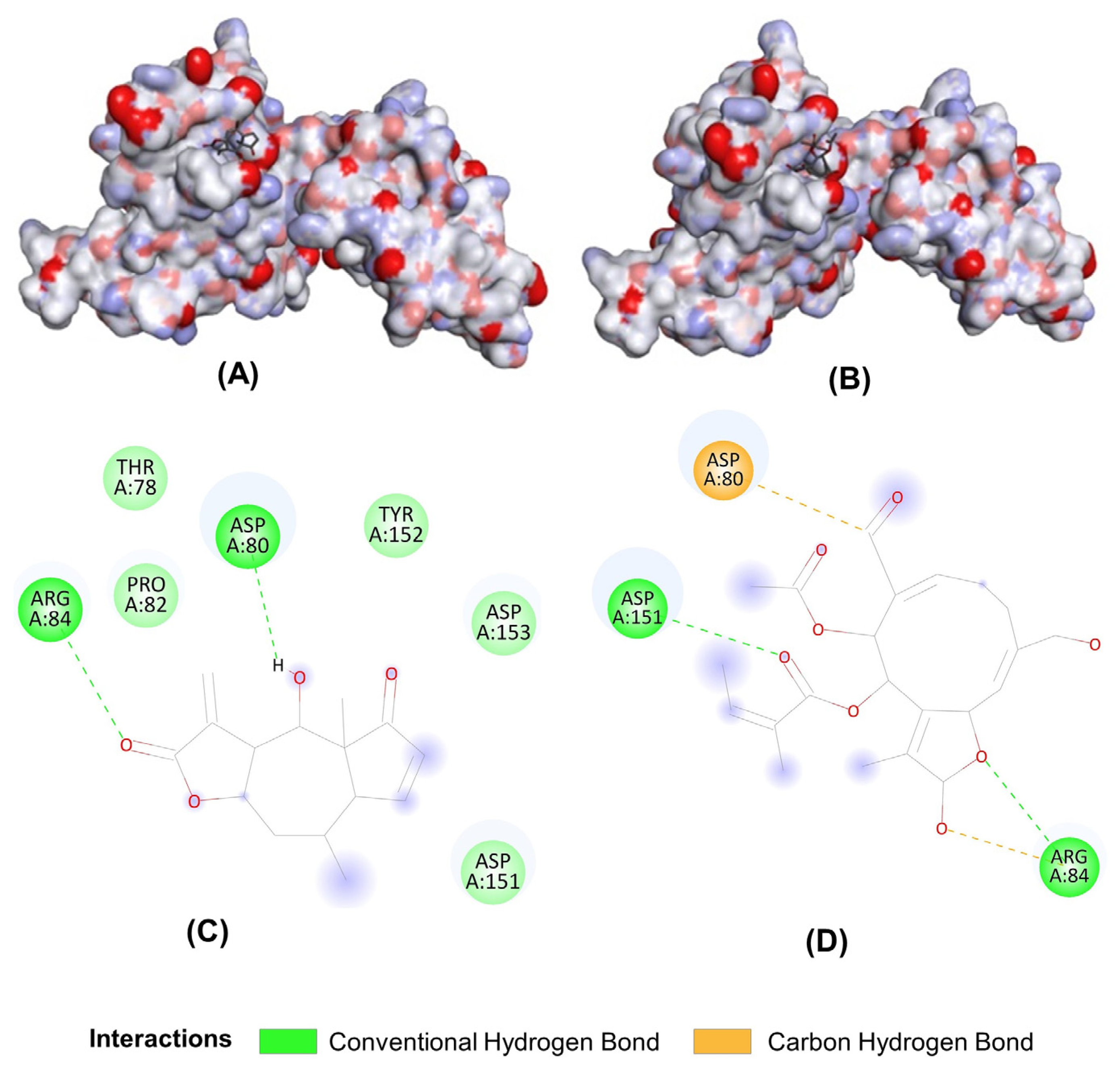 Molecules 28 04241 g008