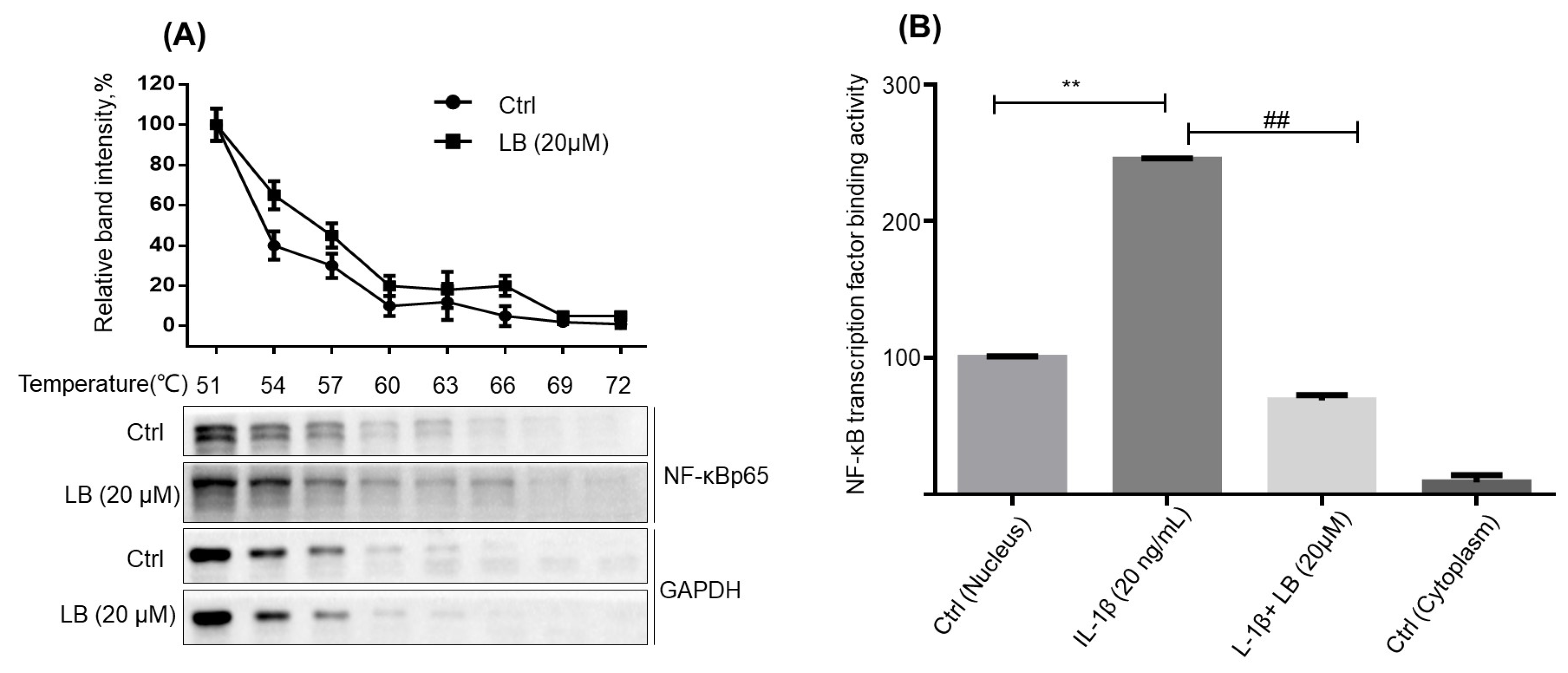 Molecules 28 04241 g009